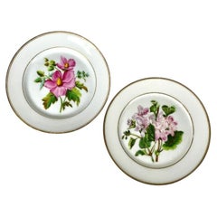 Paar botanisches Pariser Porzellangeschirr aus Porzellan, handbemalt von Feuillet, um 1850