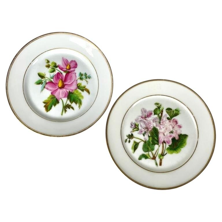 Pair Antique Paris Porcelain Botanical Dishes Hand Painted Flowers Circa 1850