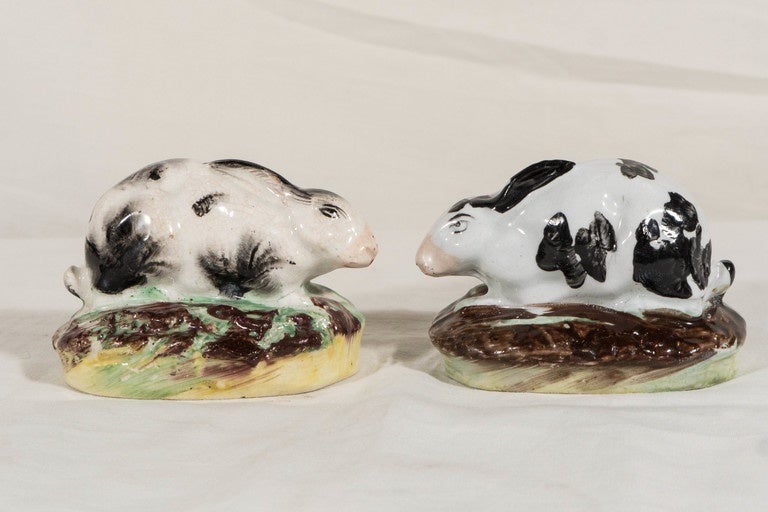 A pair of miniature Staffordshire figures of white rabbits with cute pink noses
and black spots. Each rabbit nestled on a green and brown ground. A lovely addition to any collection of Staffordshire animals.