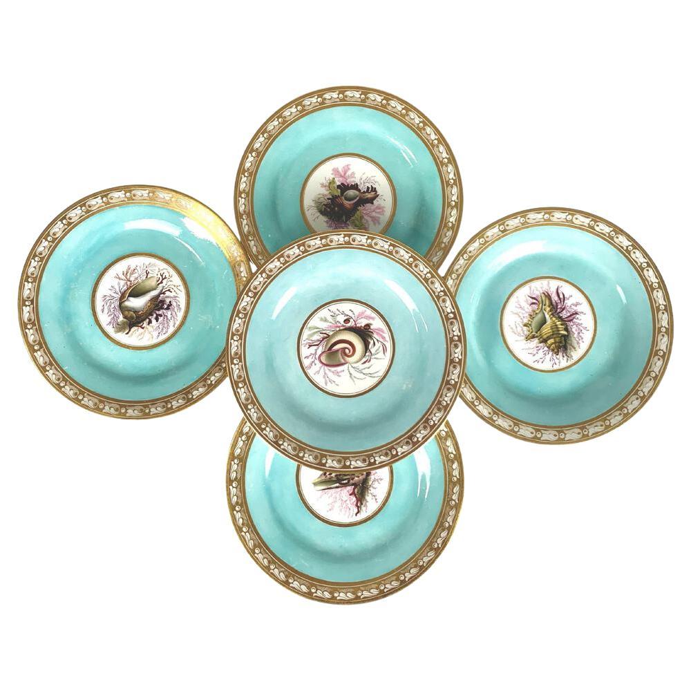 Ensemble de 5 assiettes anciennes en porcelaine de Worcester peintes à la main avec motif de coquillage 1820