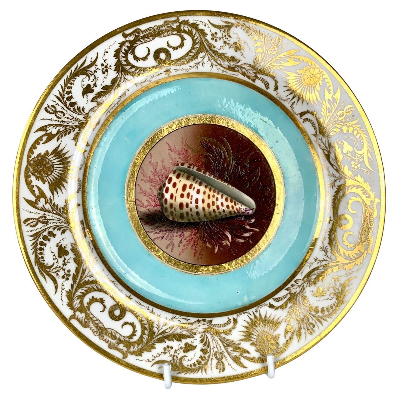 Antiker BFB Worcester Handgemalter Teller mit Muscheln Aqua Grund & Vergoldet Ca. 1807 im Angebot