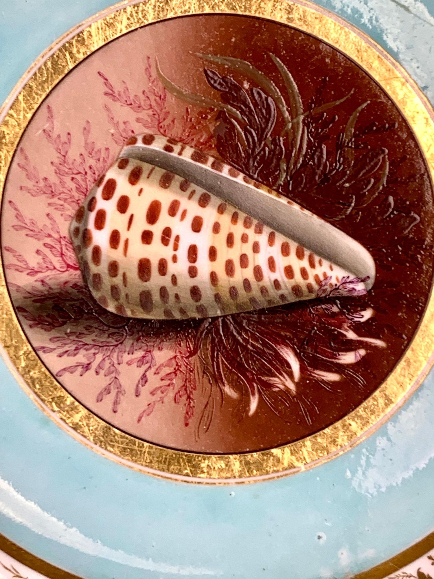 Antiker BFB Worcester Handgemalter Teller mit Muscheln Aqua Grund & Vergoldet Ca. 1807 (Regency) im Angebot
