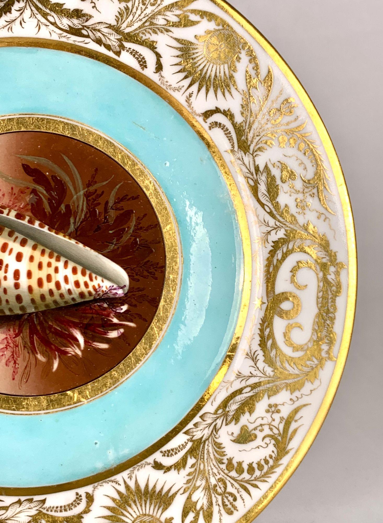Antiker BFB Worcester Handgemalter Teller mit Muscheln Aqua Grund & Vergoldet Ca. 1807 im Zustand „Hervorragend“ im Angebot in Katonah, NY