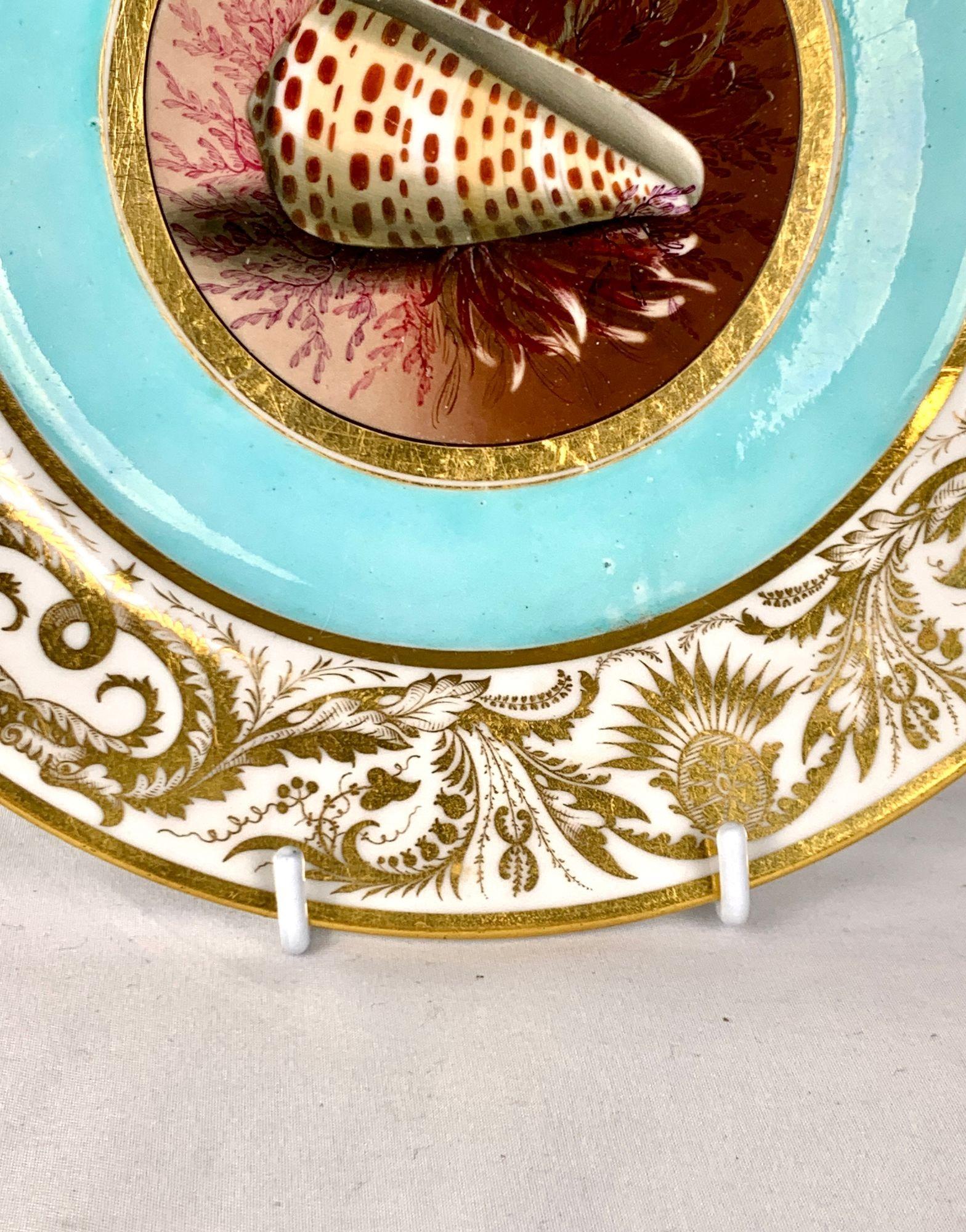 Antiker BFB Worcester Handgemalter Teller mit Muscheln Aqua Grund & Vergoldet Ca. 1807 (19. Jahrhundert) im Angebot