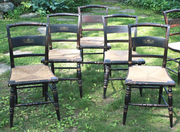 TWELVE Hitchcock Fancy Painted Dining Chairs at 1stDibs
