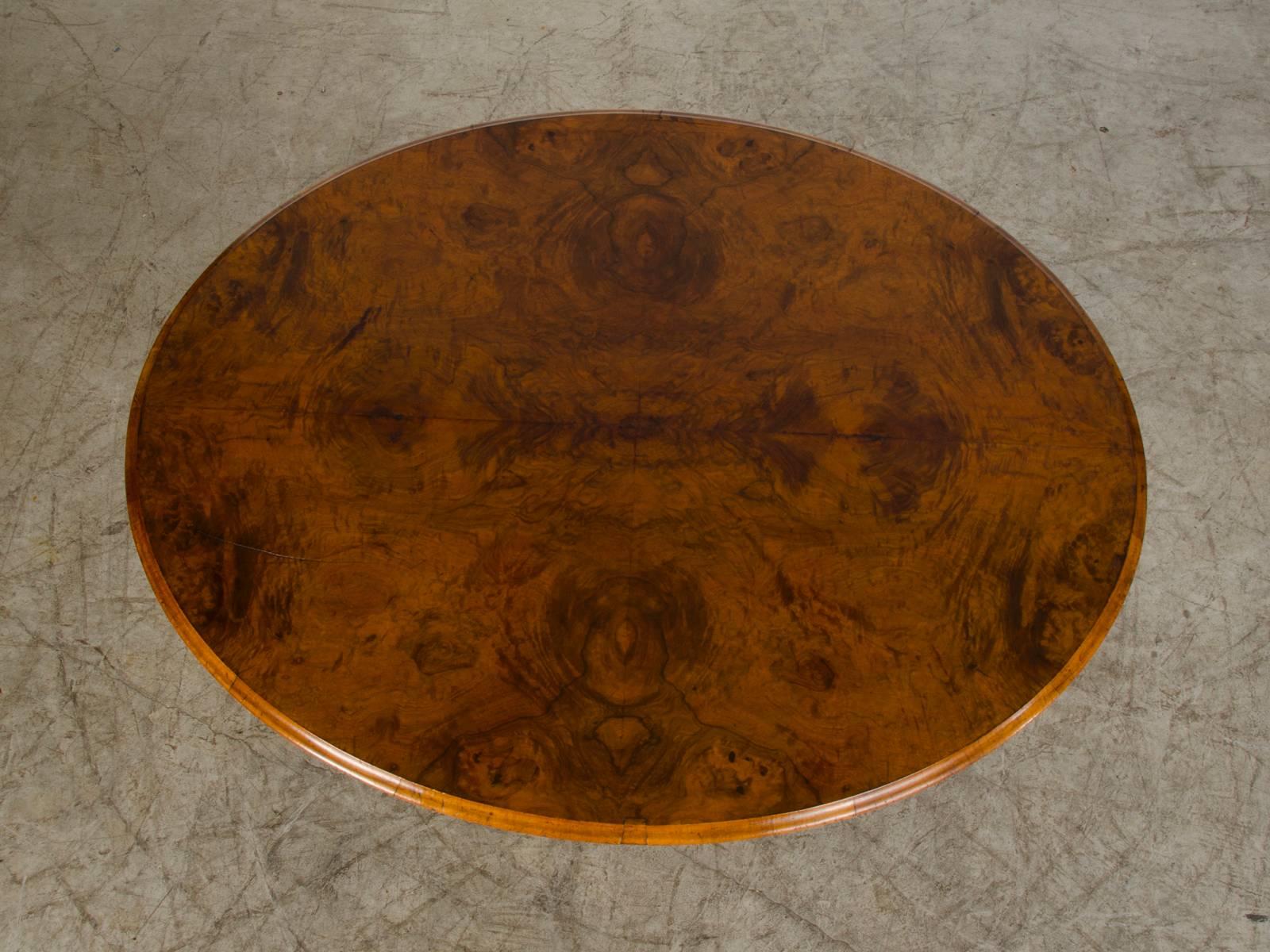 A gorgeous burl walnut tilt top table with an oval edge standing on a pedestal base from England, circa 1865. This table was originally placed in a drawing room or library where its ability to be easily moved where it was needed and the ease in