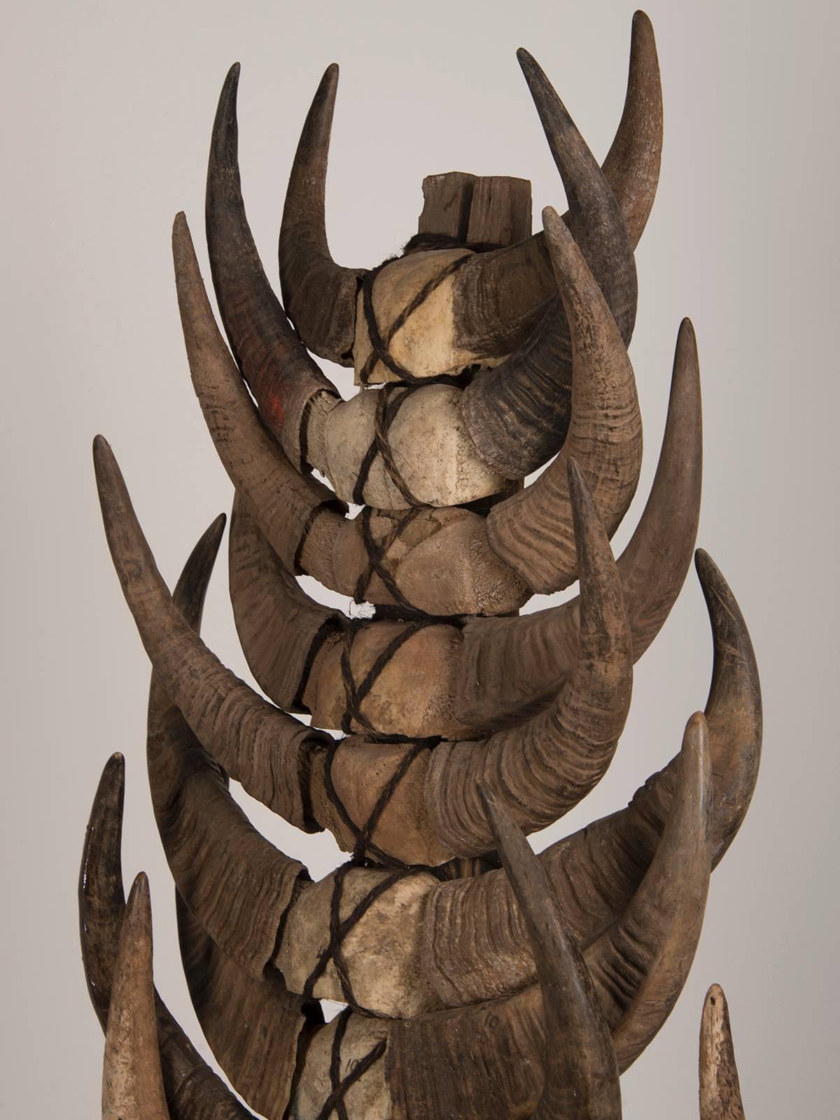 decorative horns on stand