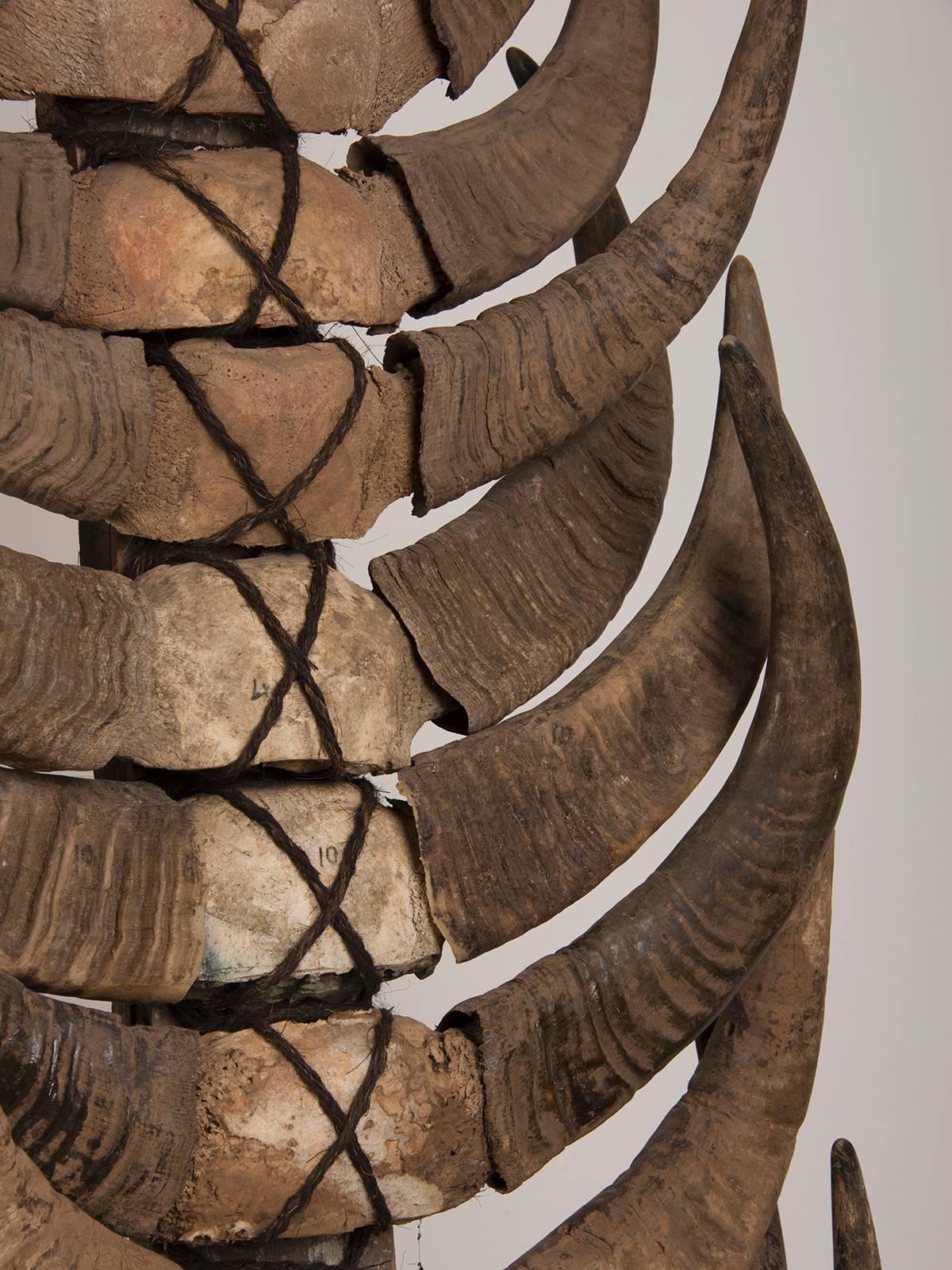 Vintage Shed Water Buffalo Horns Mounted on a Custom Stand, Indonesia In Excellent Condition In Houston, TX