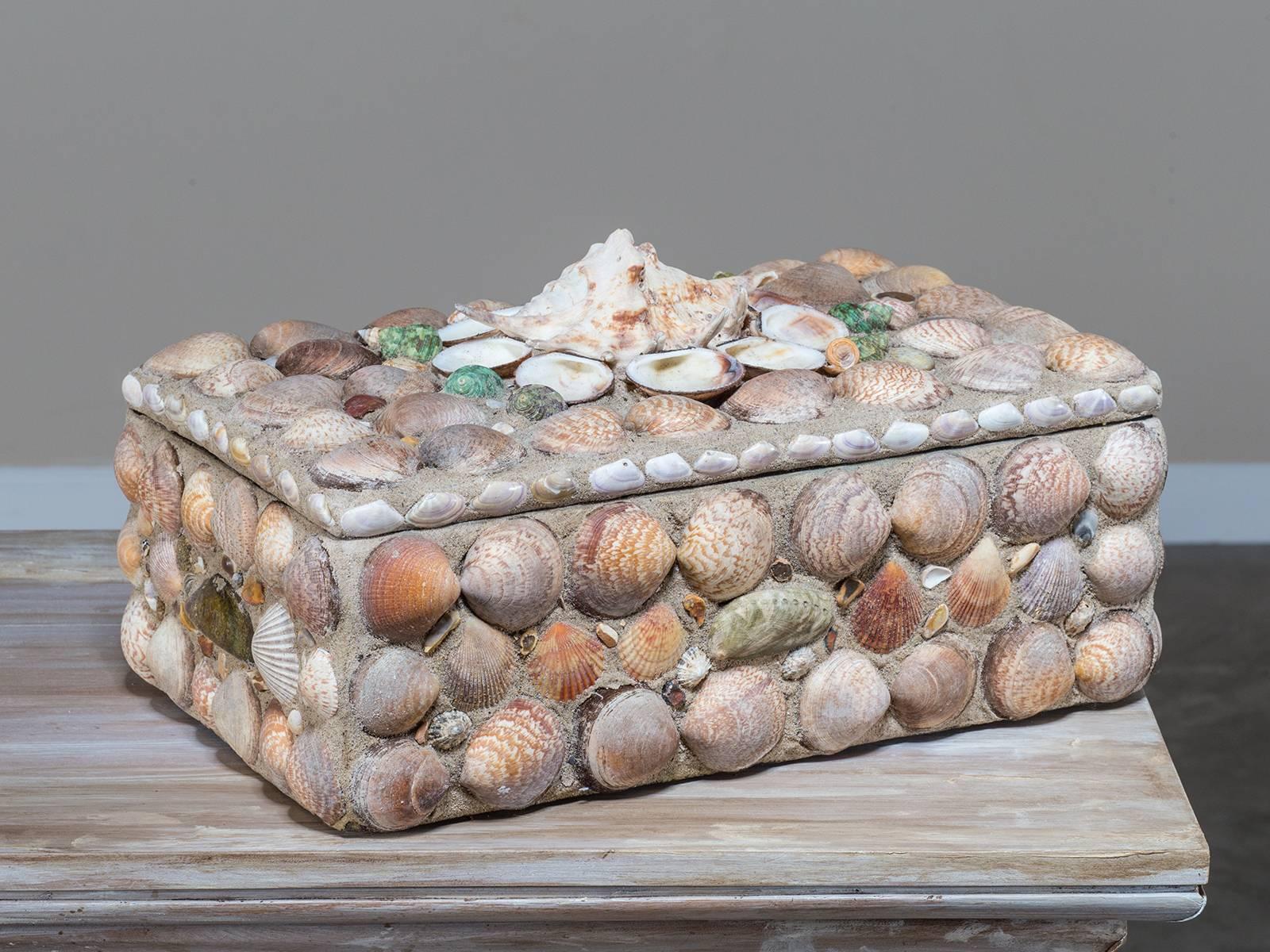 Large Vintage French Sea Shell Box, circa 1940 1
