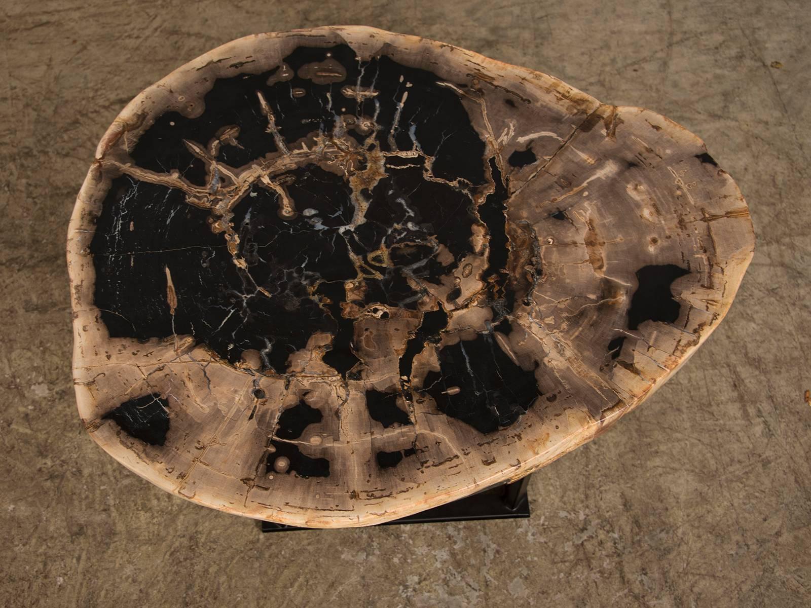 Receive our new selections direct from 1stdibs by email each week. Please click “Follow Dealer” button below and see them first!

Enormous slab of petrified wood, China, circa 1700 on metal stand. The beautiful polished top of this table showcases