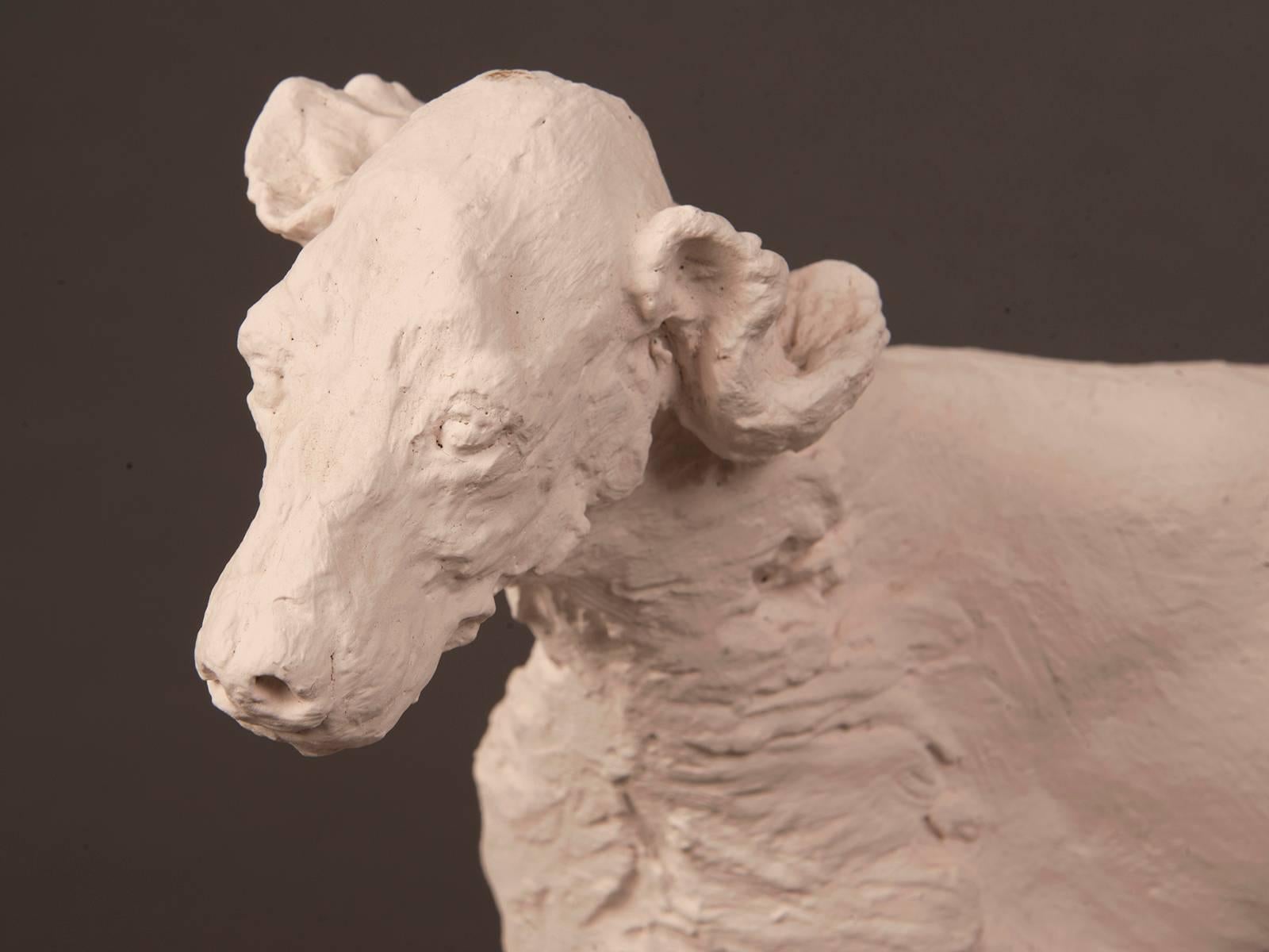 Receive our new selections direct from 1stdibs by email each week. Please click on “Follow Dealer” button below and see them first!

A vintage French large and detailed sculpture maquette of a hunting dog rendered in superb detail in plaster