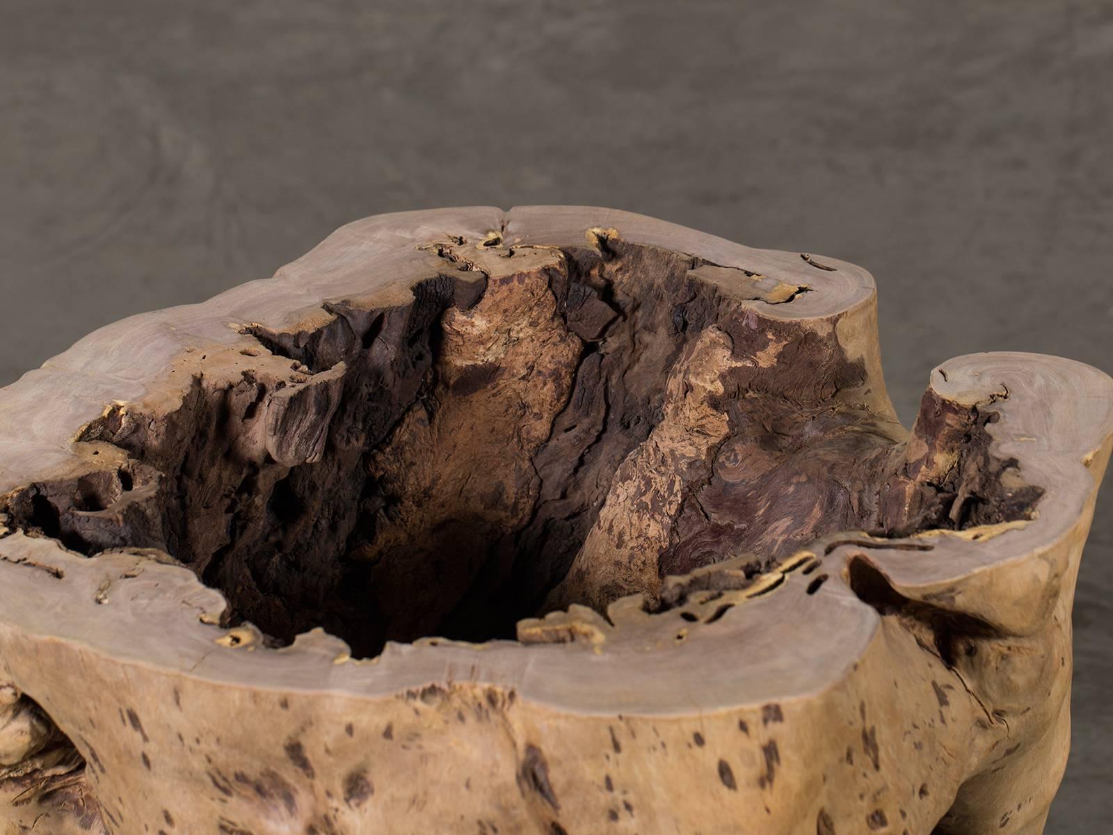 Indonesian Live Edge Natural Teak Tree Trunk Table with Round Glass Top, Indonesia