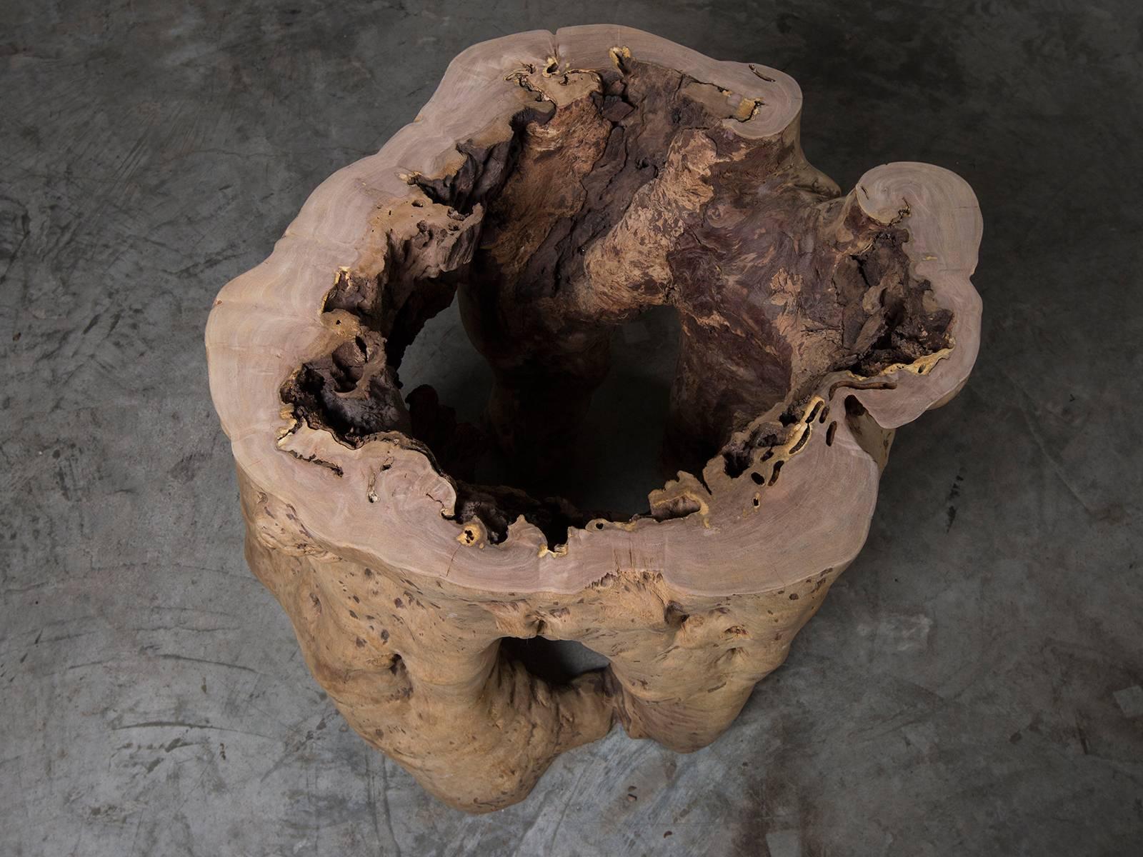 Organic Modern Live Edge Natural Teak Tree Trunk Table with Round Glass Top, Indonesia