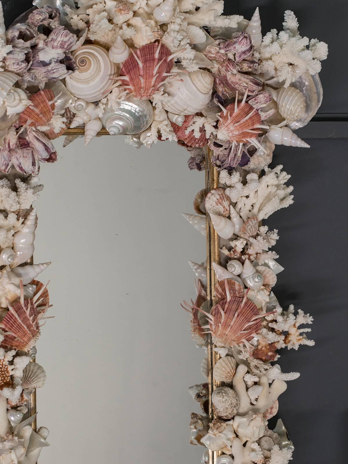 Contemporary Sea Shell Mirror of Rectangular Shape with Nautilis and Scallop