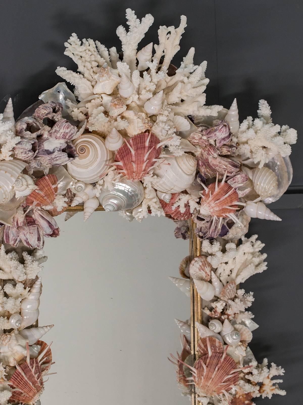 Sea Shell Mirror of Rectangular Shape with Nautilis and Scallop In Excellent Condition In Houston, TX