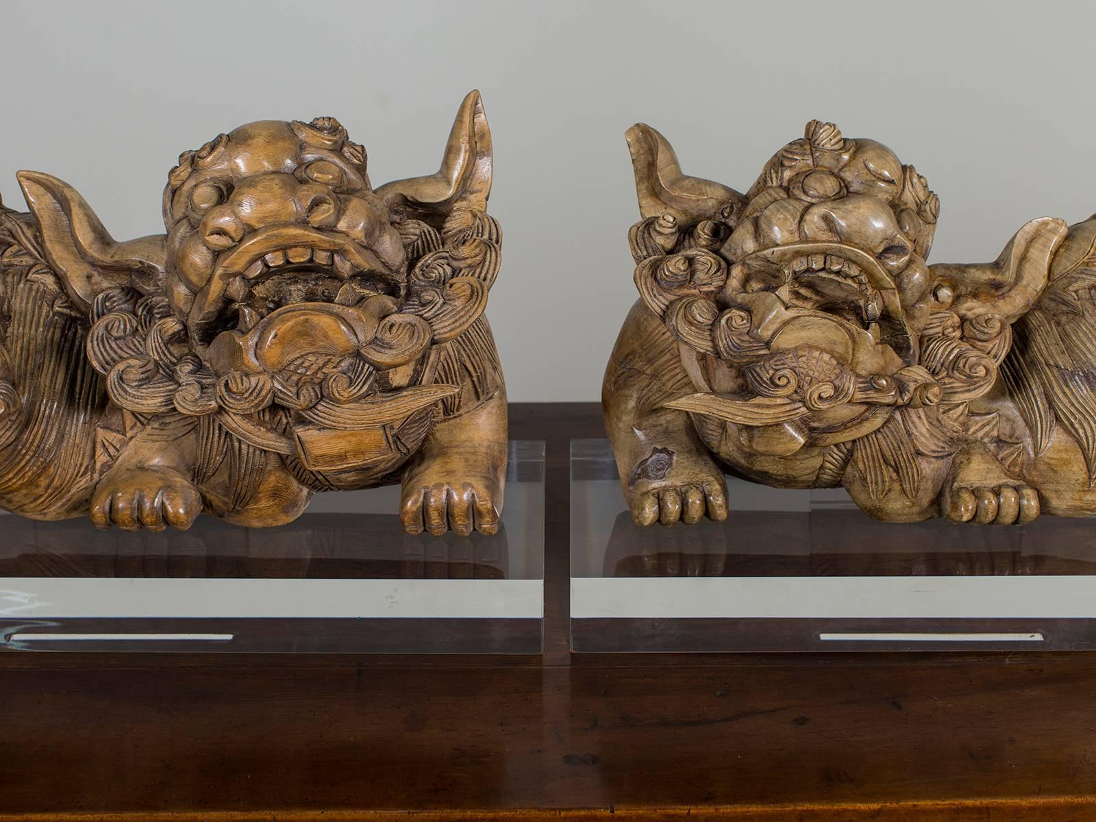 Pair of Antique Chinese Foo Guardian Lions circa 1875 on Custom Lucite Stands 5