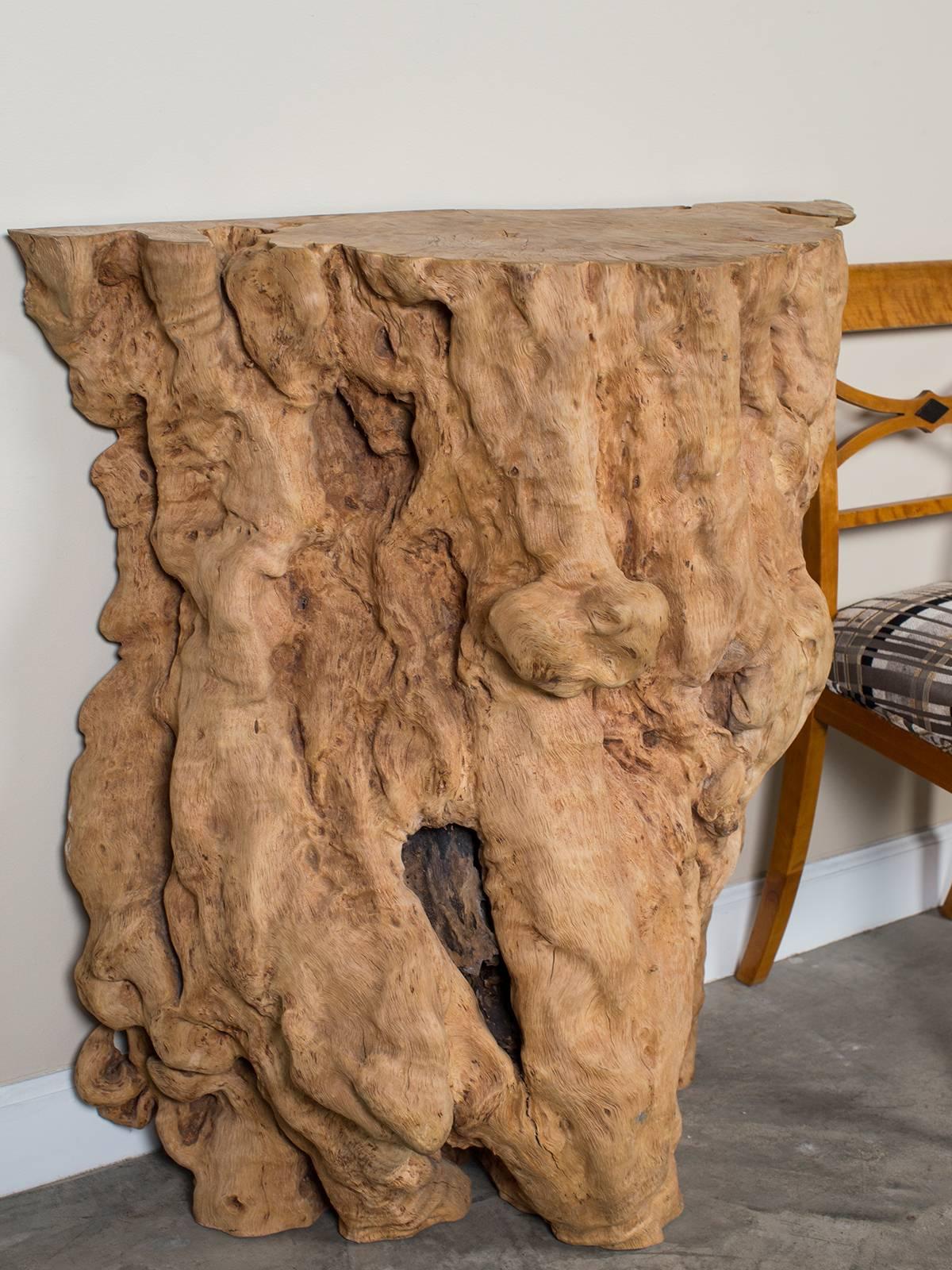 Be the first to see our new listings direct from 1stdibs! Please click "Follow" below.

This natural washed teak organic console table is one half of a massive tree trunk from Indonesia that was naturally felled and harvested. The unique
