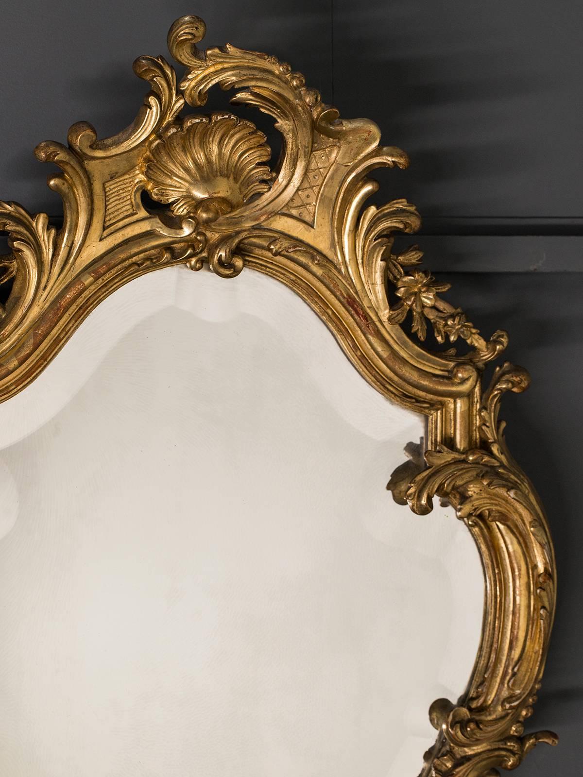 Carved Antique French, Louis XV Style Rococo Mirror, circa 1890