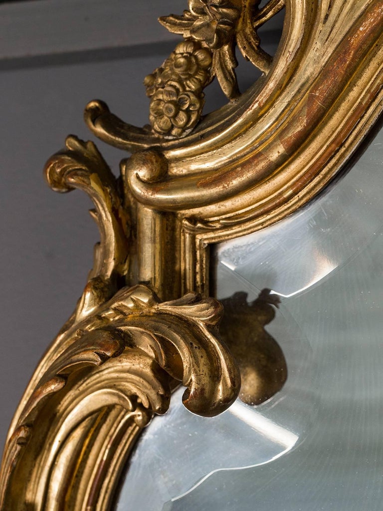 Antique French, Louis XV Style Rococo Mirror, circa 1890 at 1stdibs