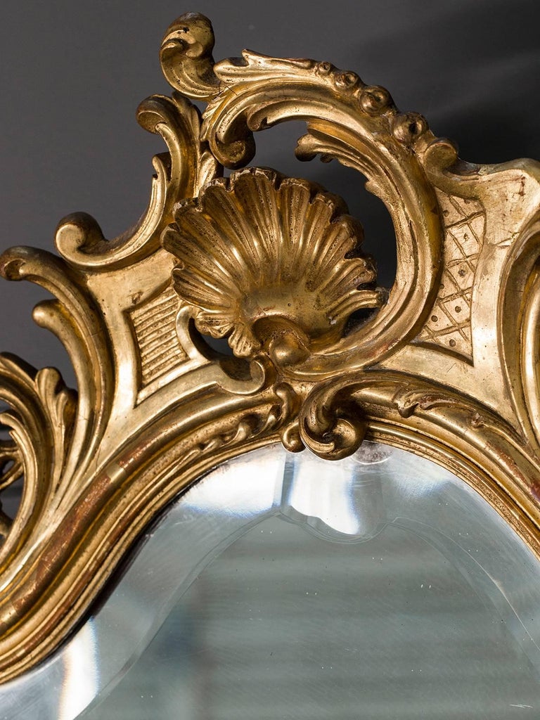 Antique French, Louis XV Style Rococo Mirror, circa 1890 at 1stDibs