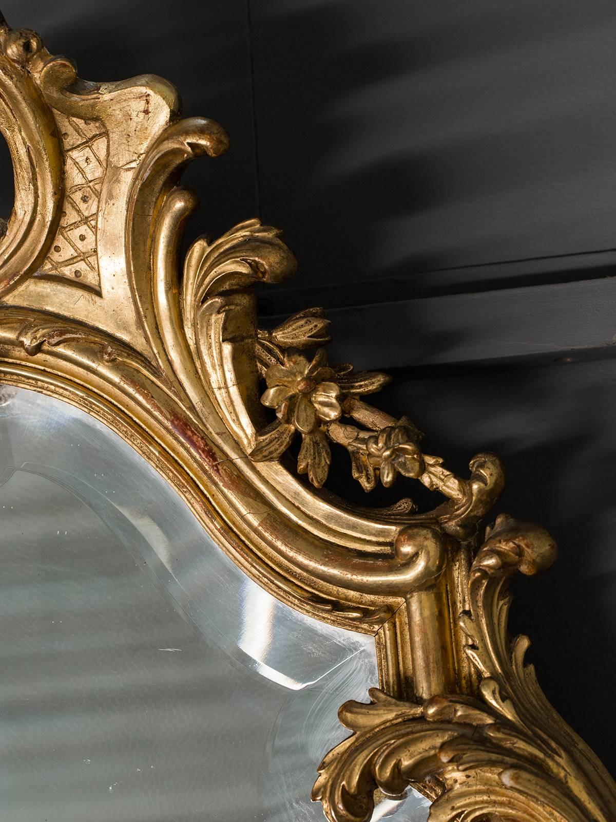 Antique French, Louis XV Style Rococo Mirror, circa 1890 3