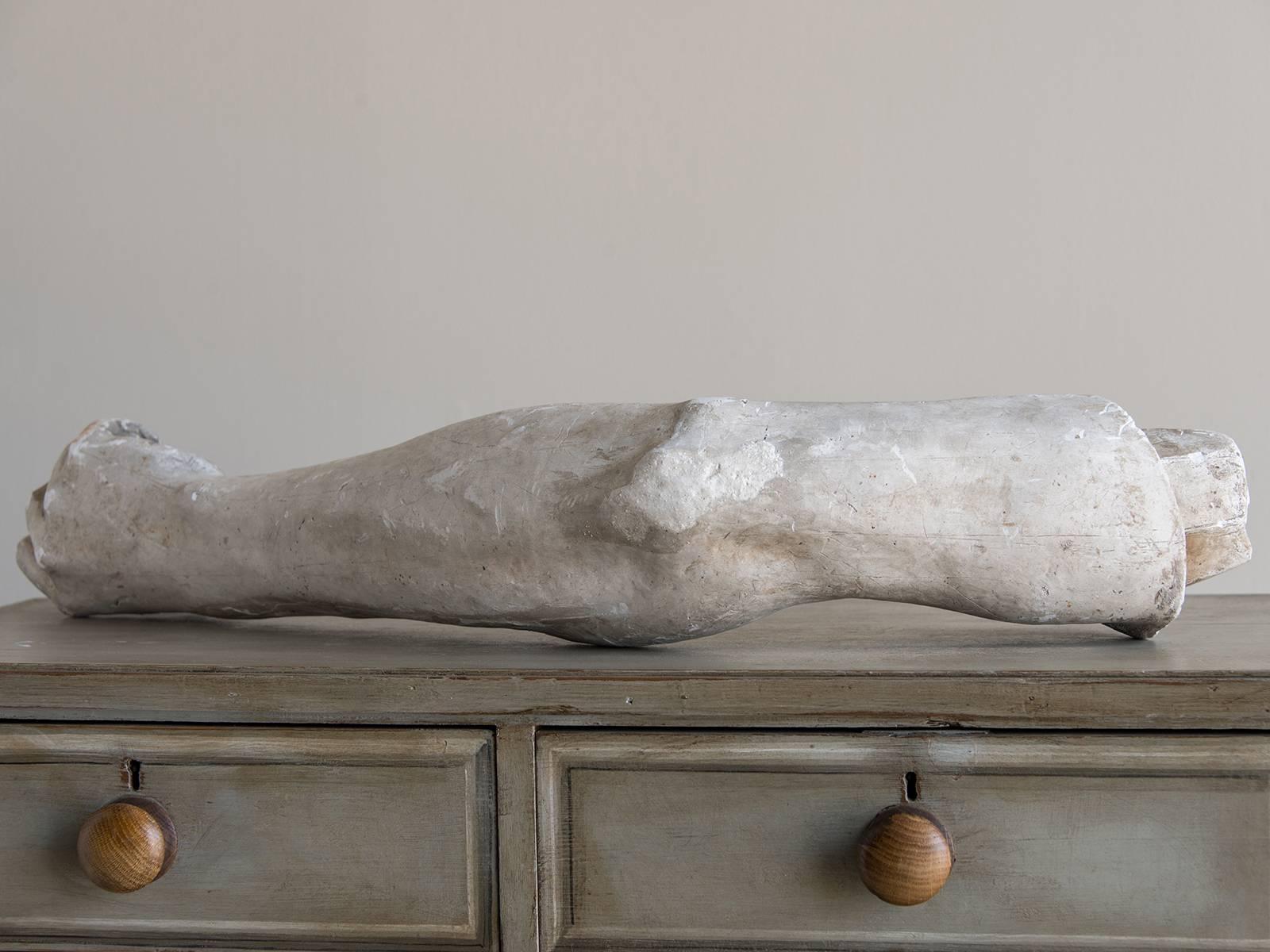 Plaster Antique French Art Academy Arm and Hand, circa 1875