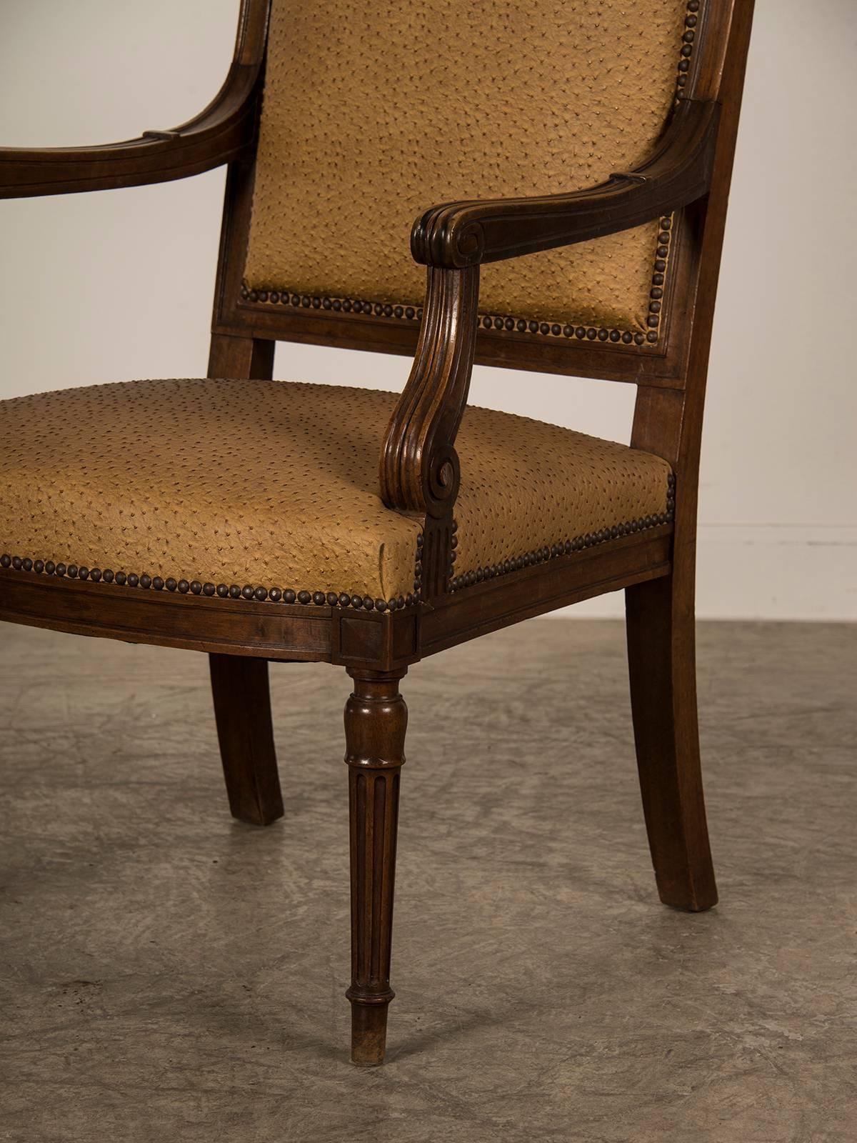 Carved Large Antique French Louis XVI Style Walnut Fauteuil, circa 1860 For Sale