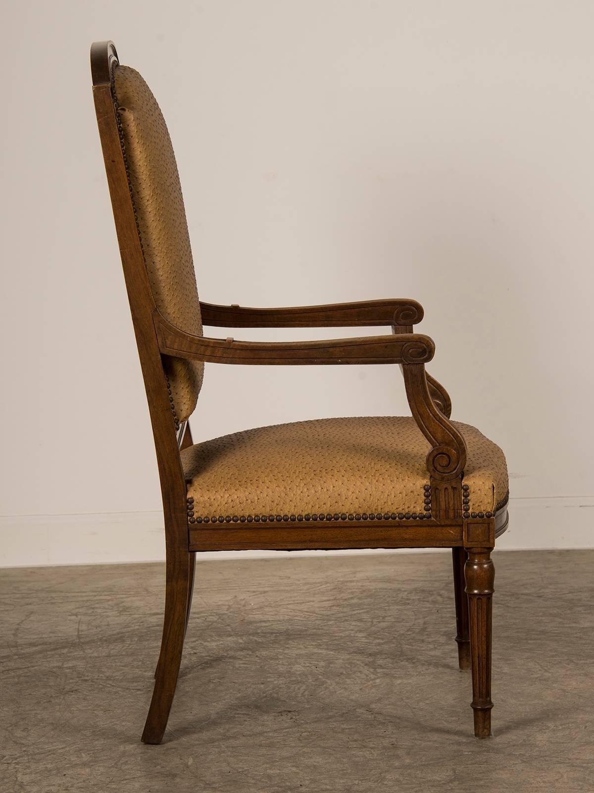 Large Antique French Louis XVI Style Walnut Fauteuil, circa 1860 For Sale 2