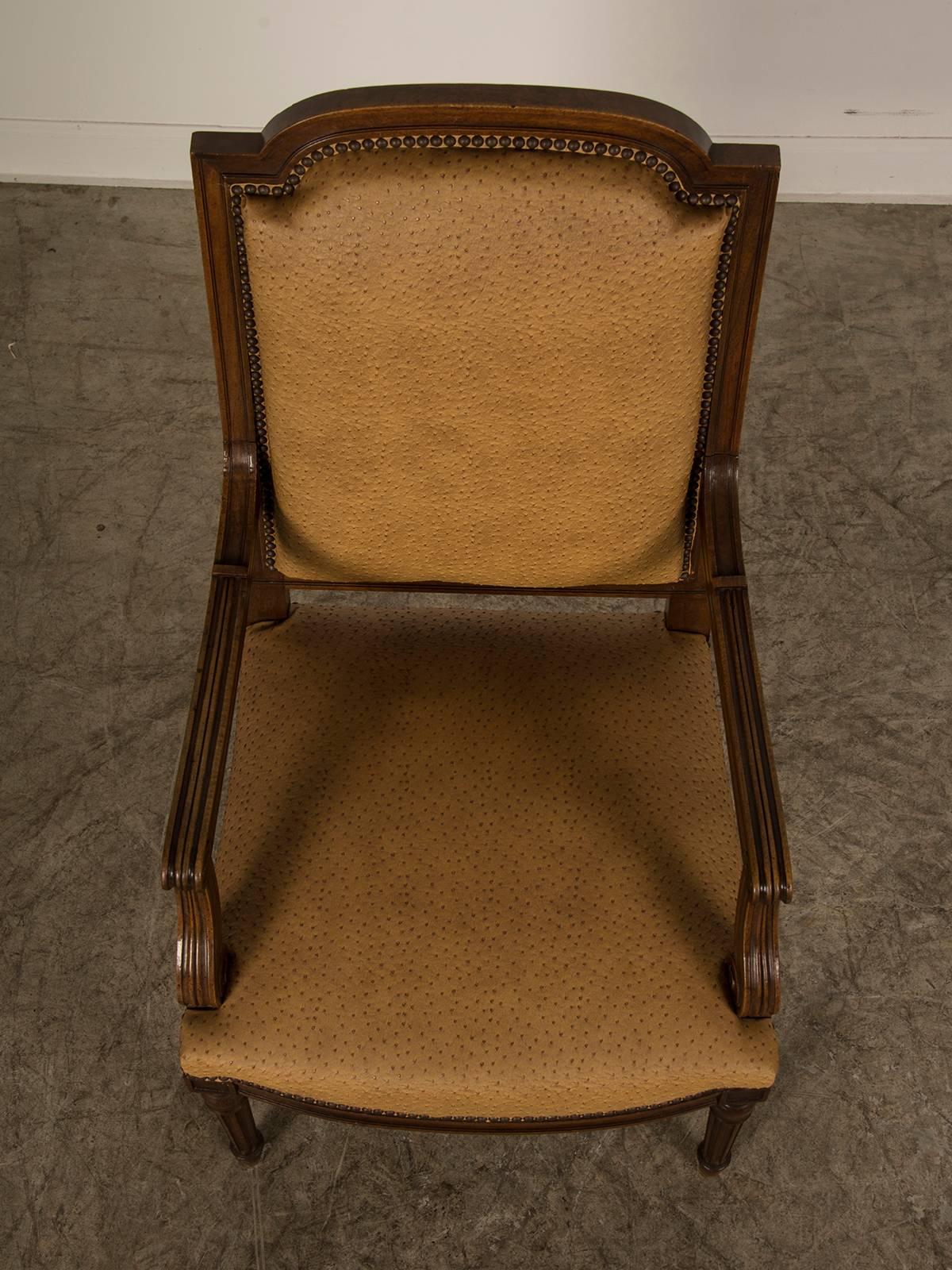 Large Antique French Louis XVI Style Walnut Fauteuil, circa 1860 For Sale 3