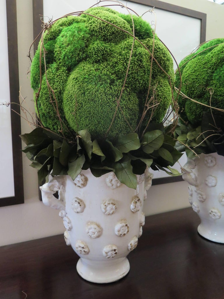 Moss Spheres in White Large Vases at 1stDibs