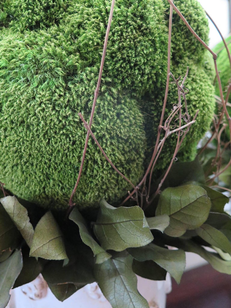 Moss Spheres in White Large Vases For Sale at 1stdibs