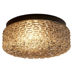 Textured Glass Wall or Ceiling Light by RZB Leuchten, Germany