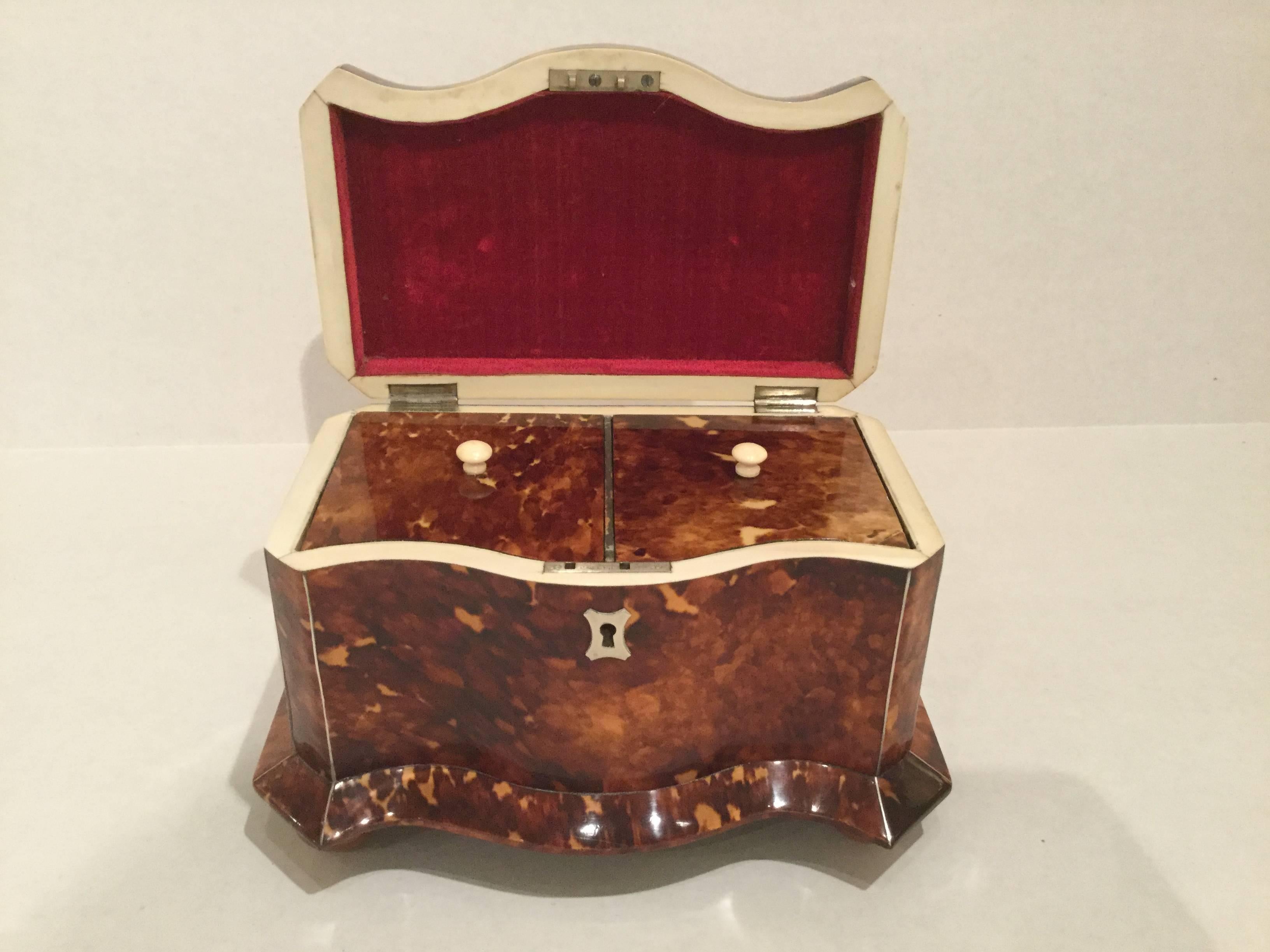 Wonderful tortoiseshell Serpentine front Tea Caddy. Each section divided with pewter stringing. Standing on tague nut feet with twin lidded compartments with bone knobs. Silver escutcheon on top.