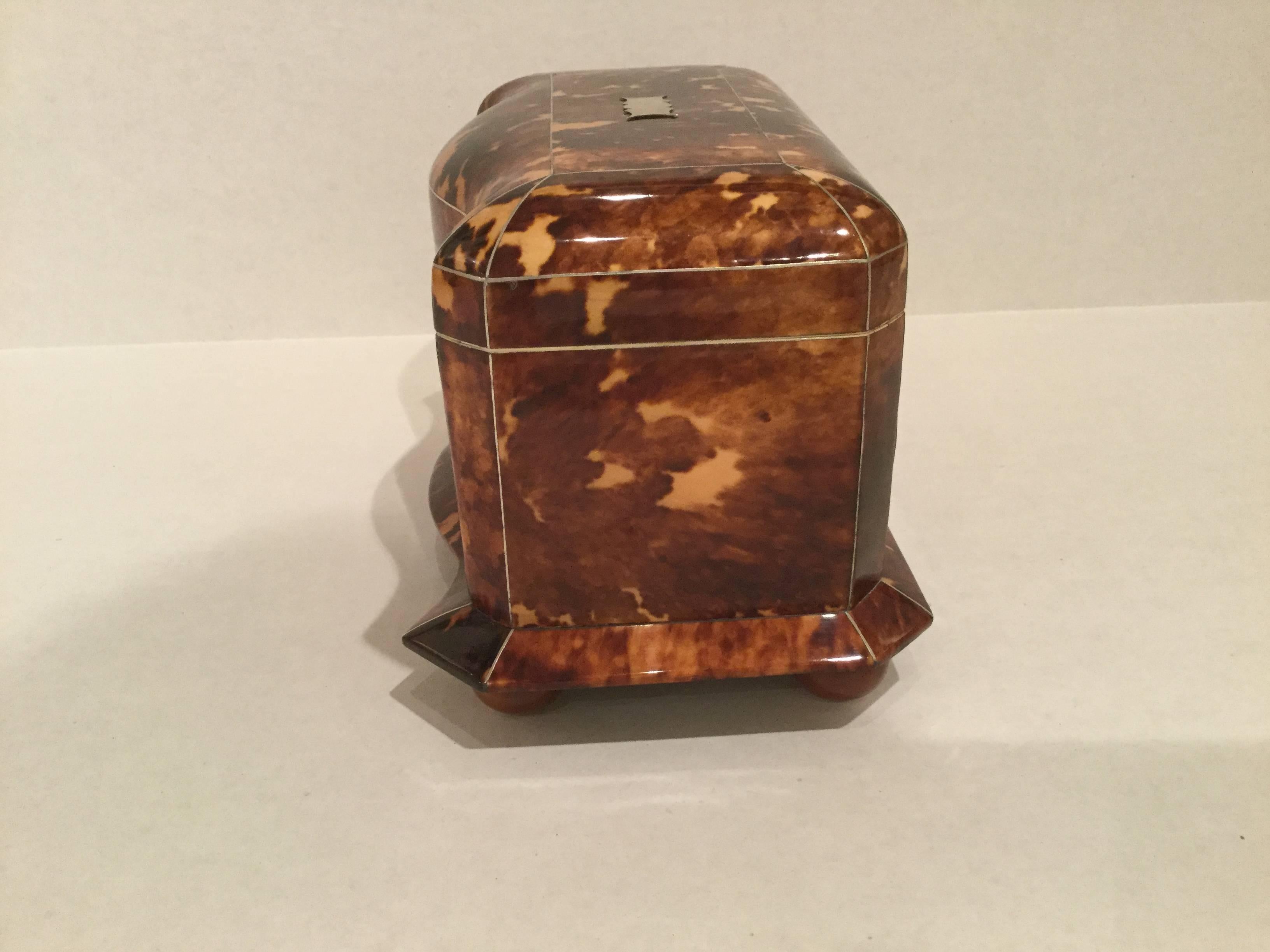 English 19th Century Tortoiseshell Tea Caddy