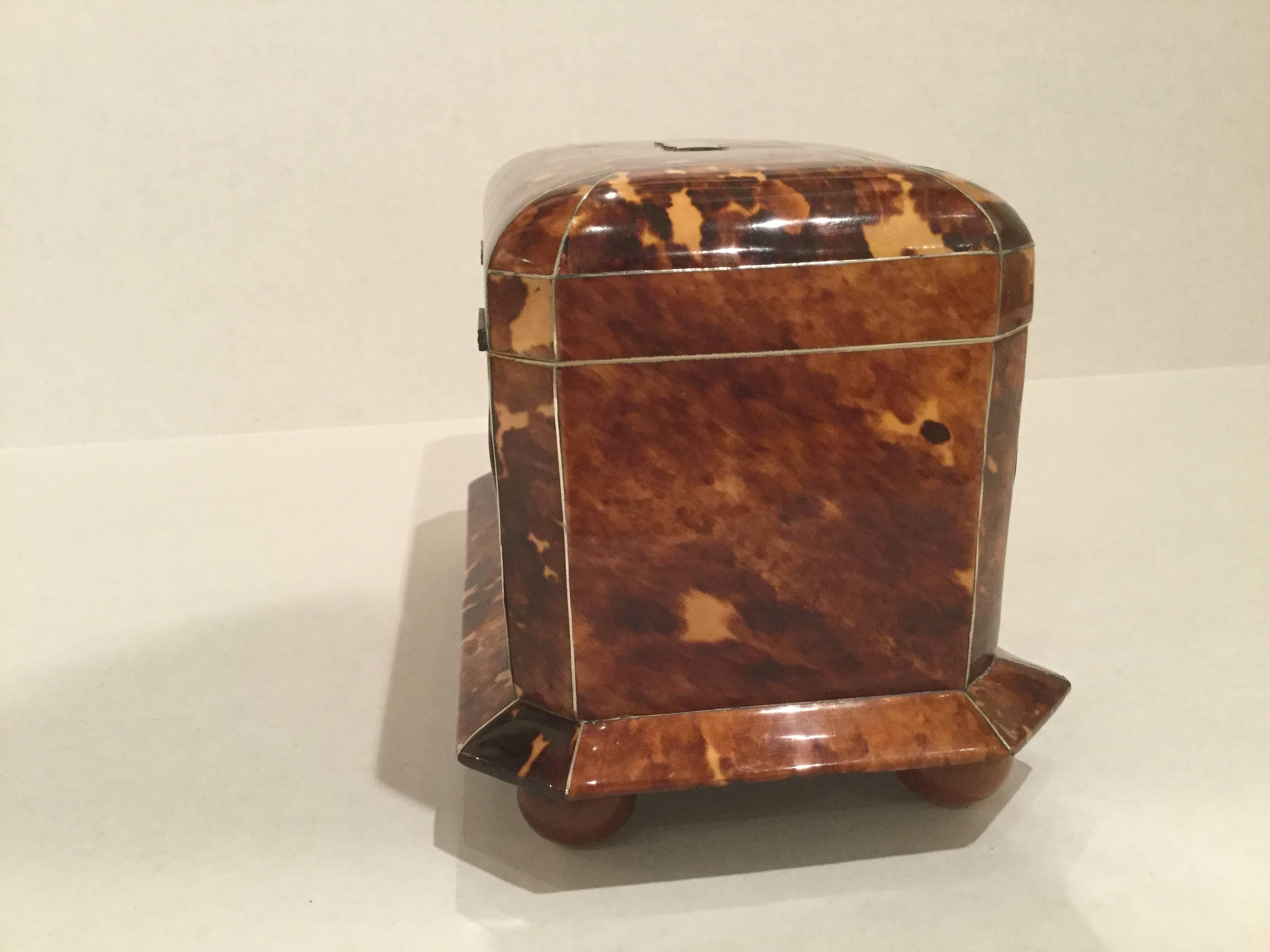19th Century Tortoiseshell Tea Caddy In Excellent Condition In Dallas, TX