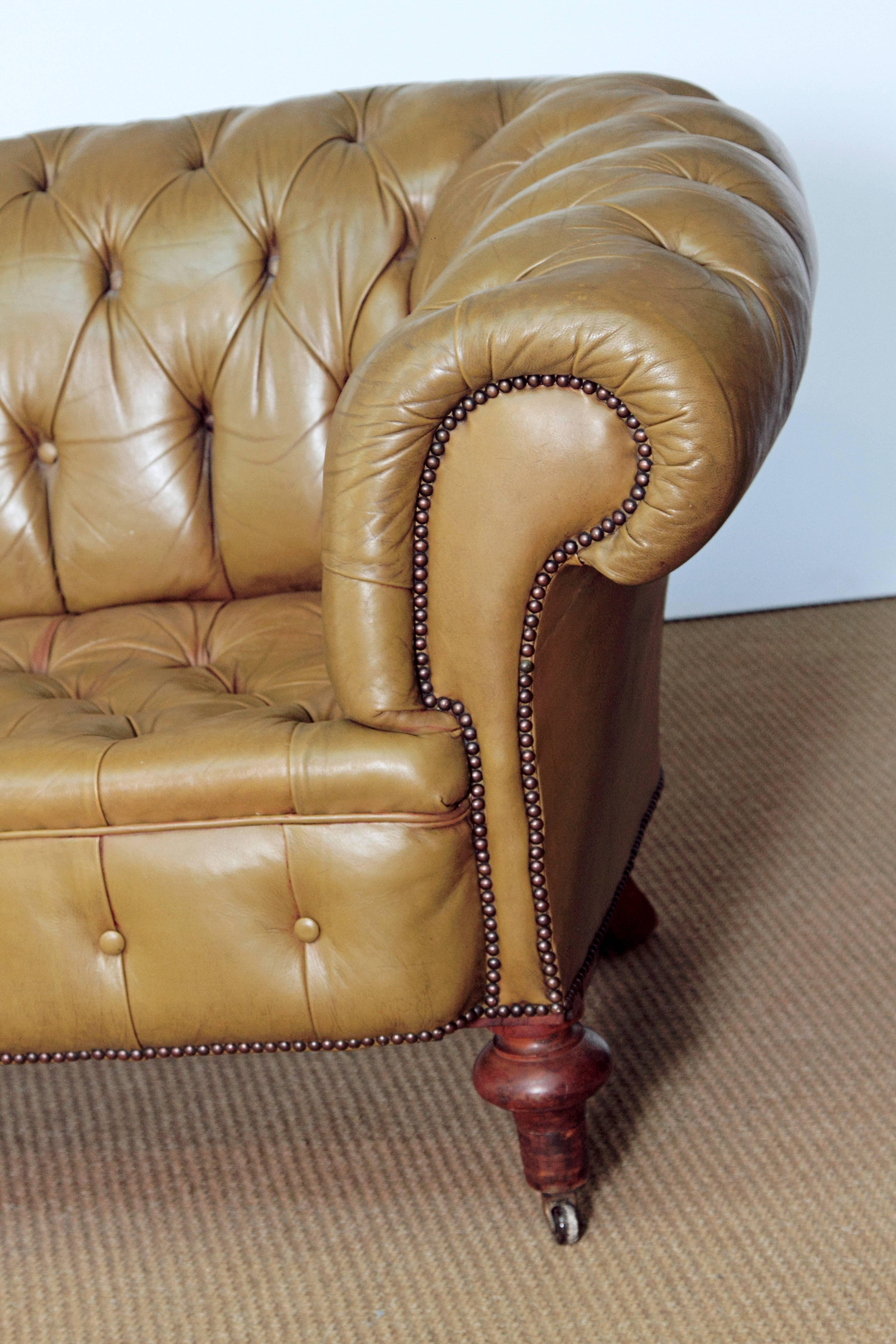 English Chesterfield Sofa in Olive Green Leather