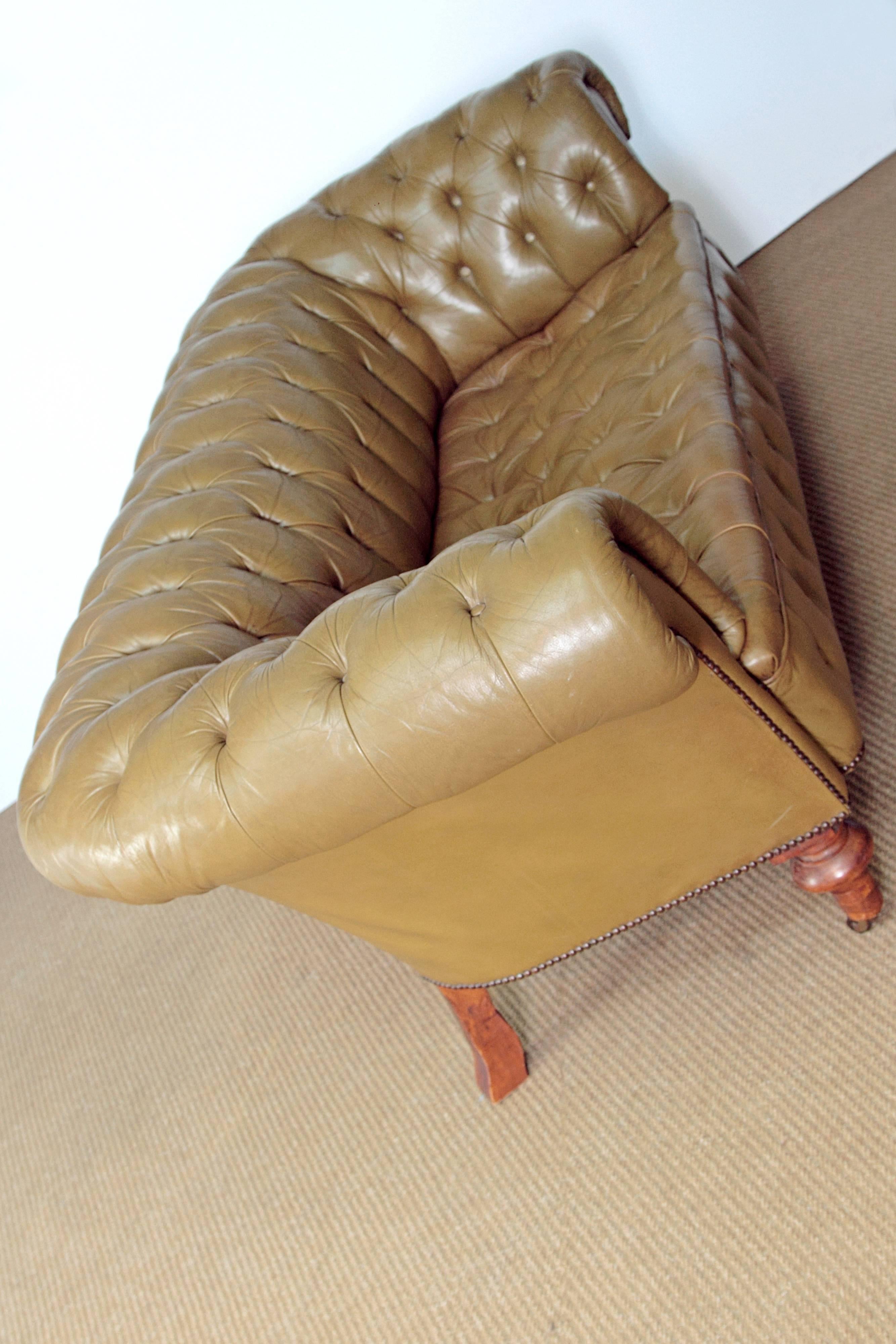 19th Century Chesterfield Sofa in Olive Green Leather