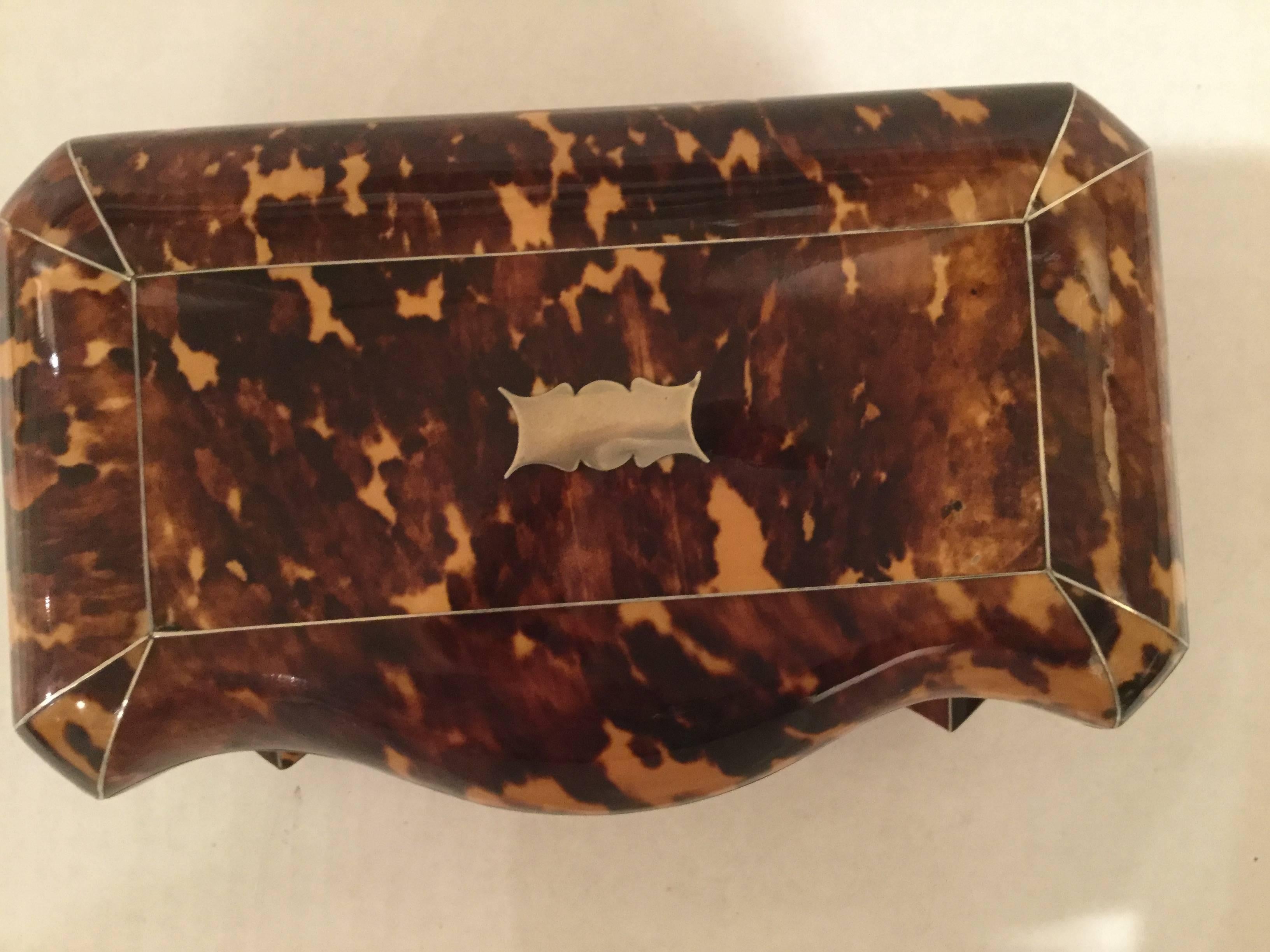 Tortoise Shell 19th Century Tortoiseshell Tea Caddy