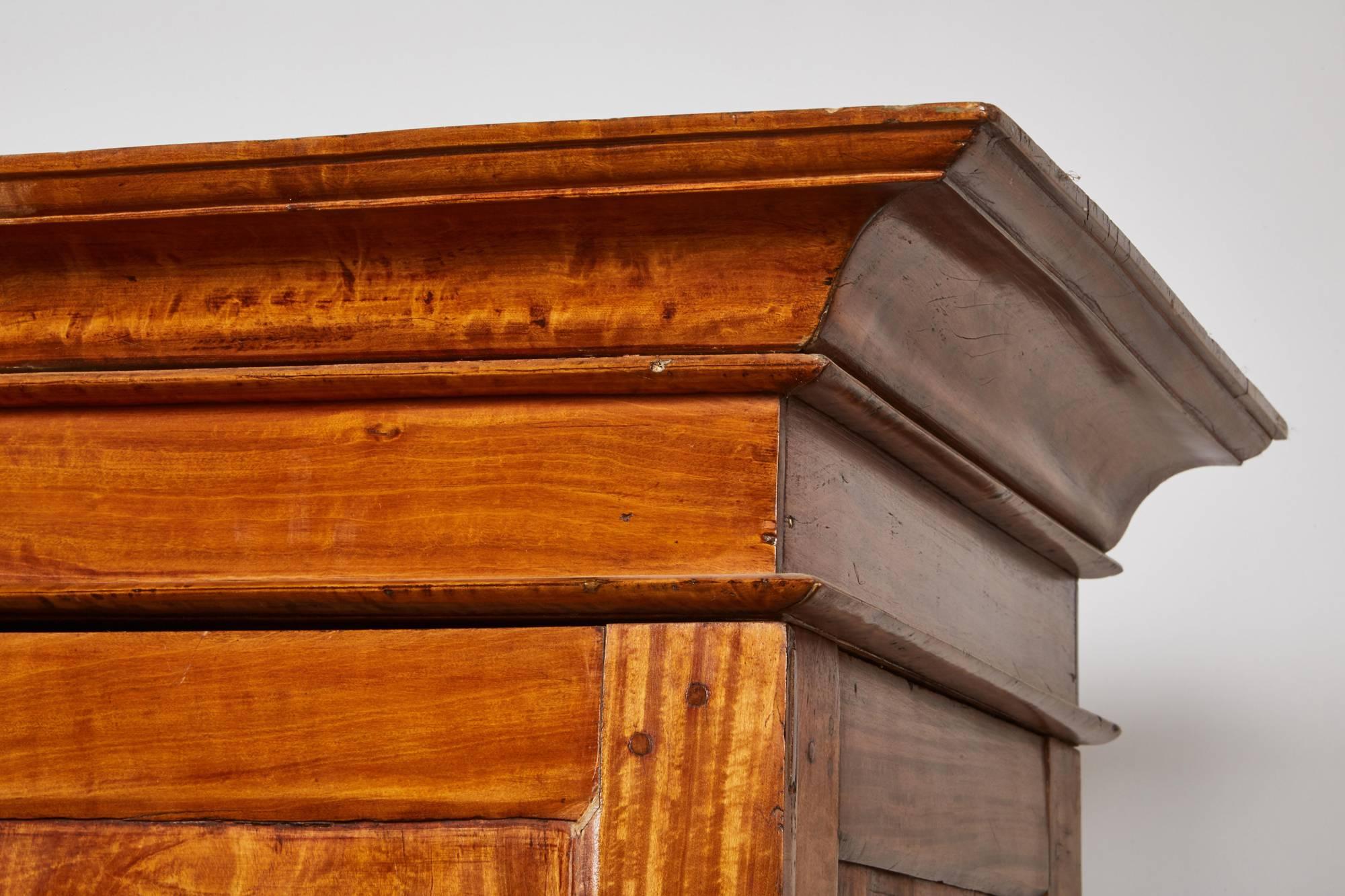 19th Century Two-Door Simple Satinwood Cabinet 2