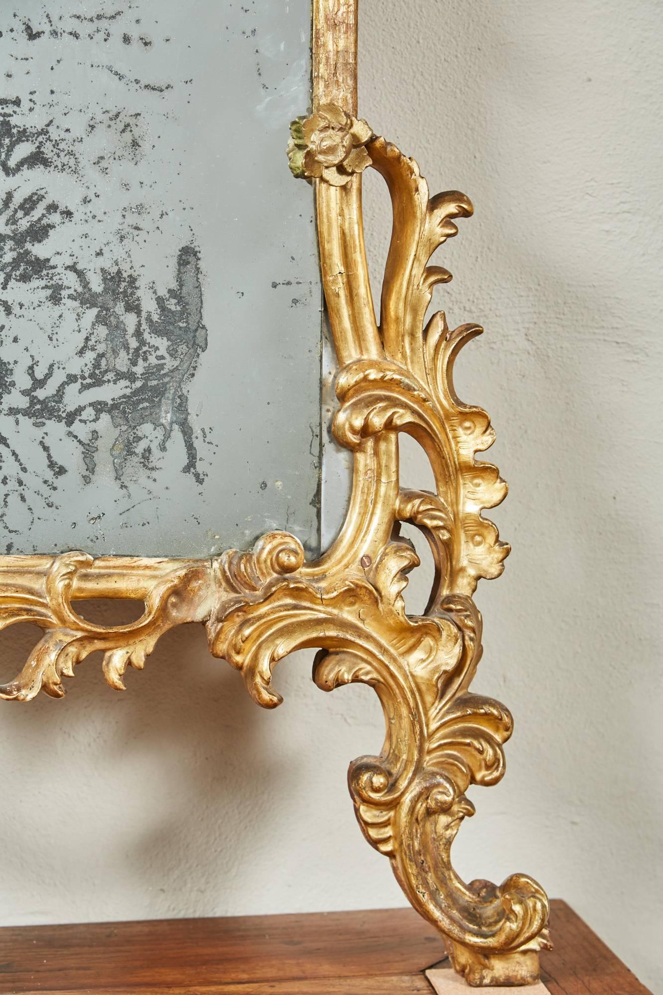 Mid-18th Century Italian Giltwood Pier Rococo Mirror 5