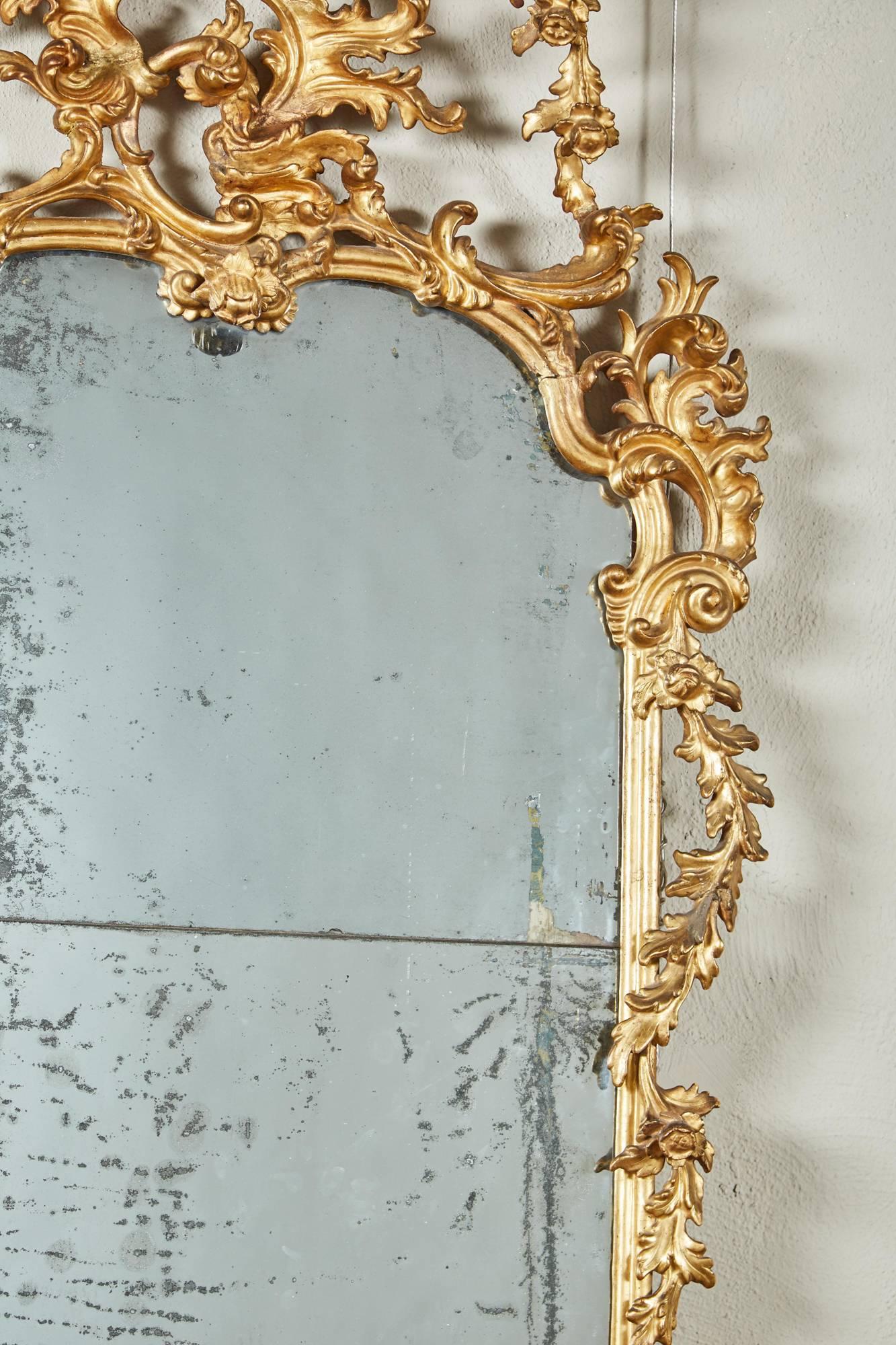 Mid-18th Century Italian Giltwood Pier Rococo Mirror 2