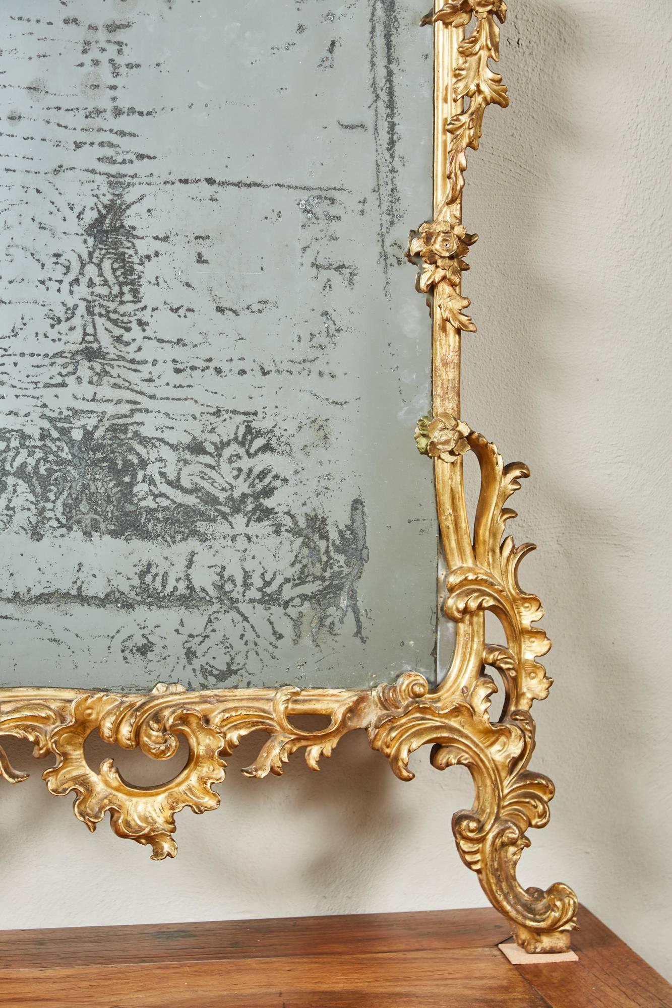 Mid-18th Century Italian Giltwood Pier Rococo Mirror 4