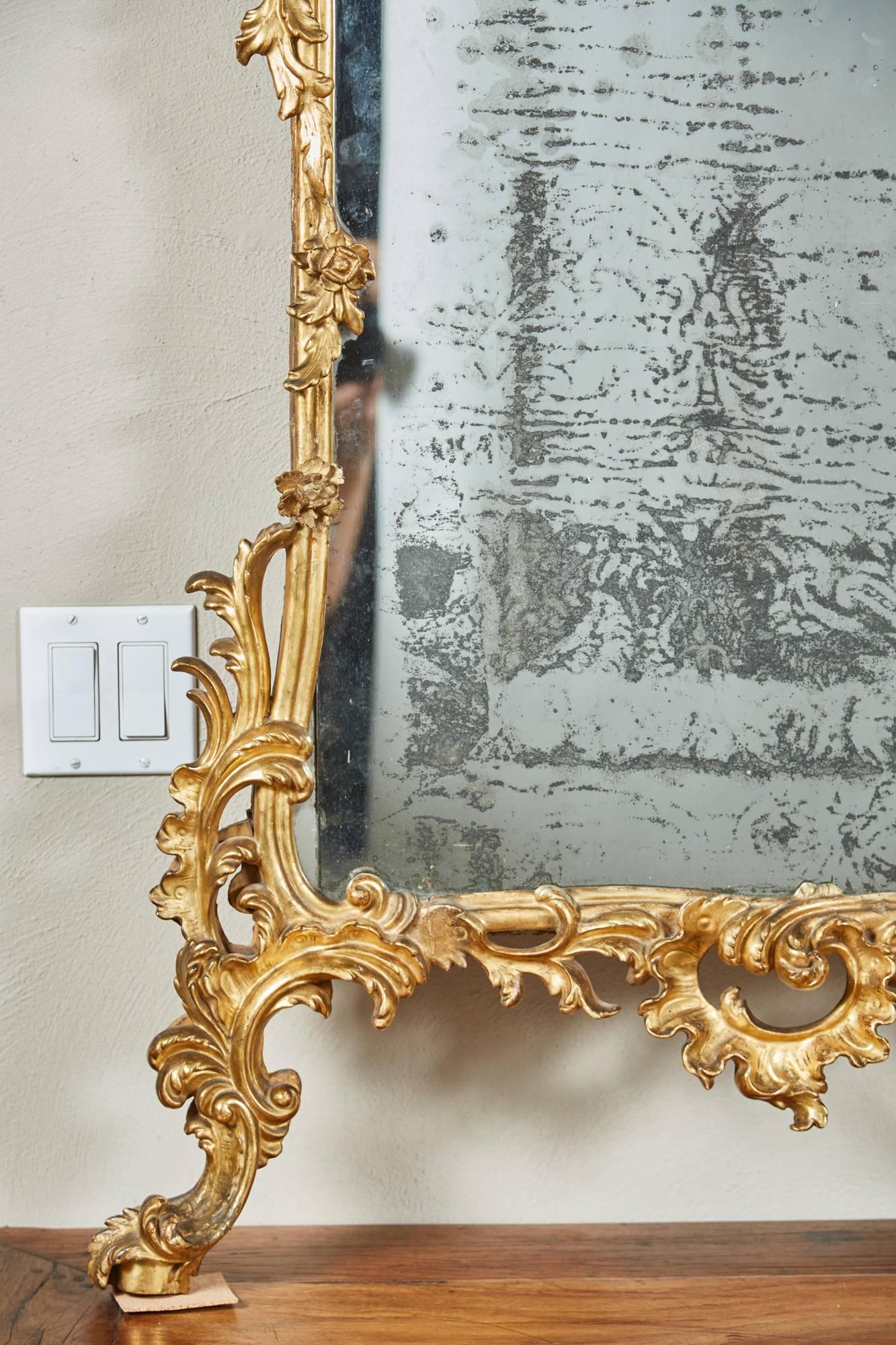 Mid-18th Century Italian Giltwood Pier Rococo Mirror 3