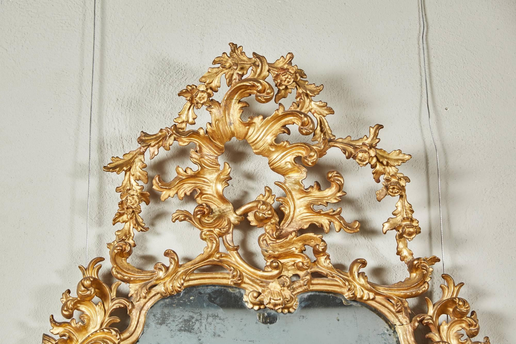 Mid-18th Century Italian Giltwood Pier Rococo Mirror 1