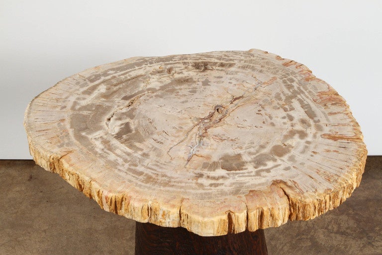 20th Century Petrified Wood and Teak Side Table