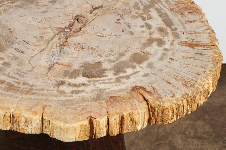 Petrified Wood and Teak Side Table 1