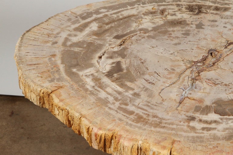 Petrified Wood and Teak Side Table 2