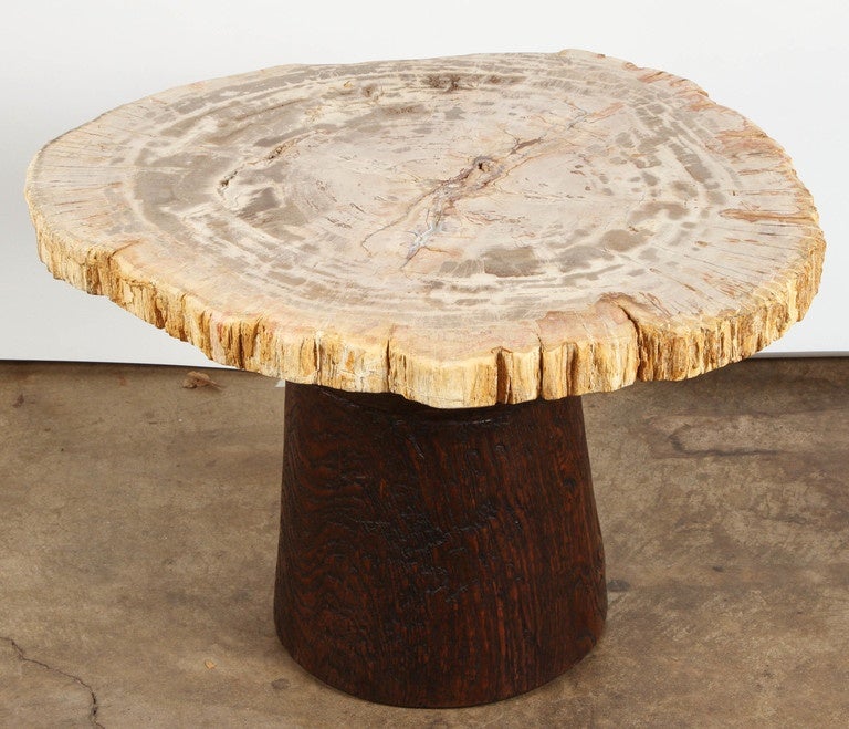 Petrified Wood and Teak Side Table 3