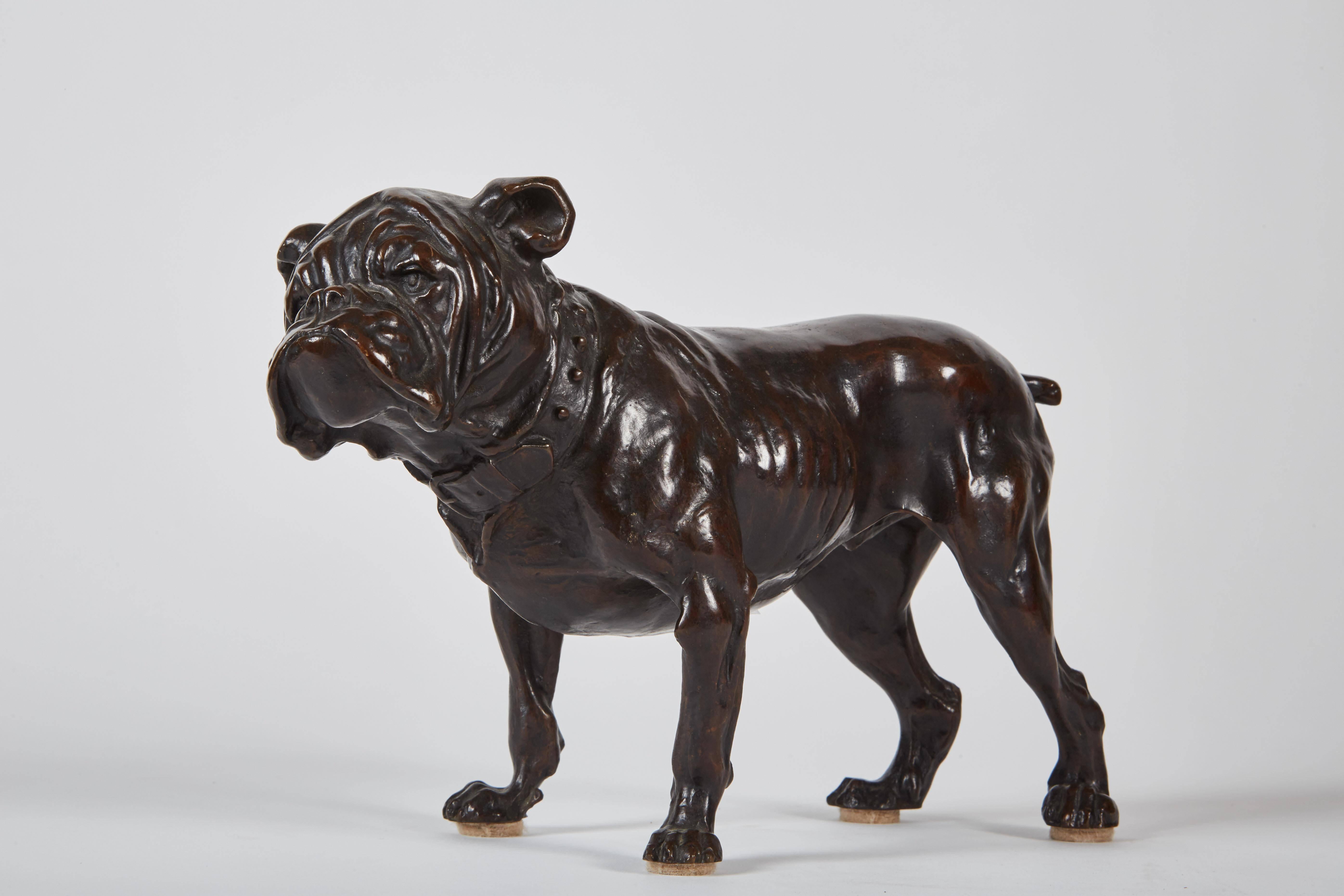 A bronze statue of an English bulldog signed, but likely not, Antoine-Louis Barye. A finely cast model, and well detailed.