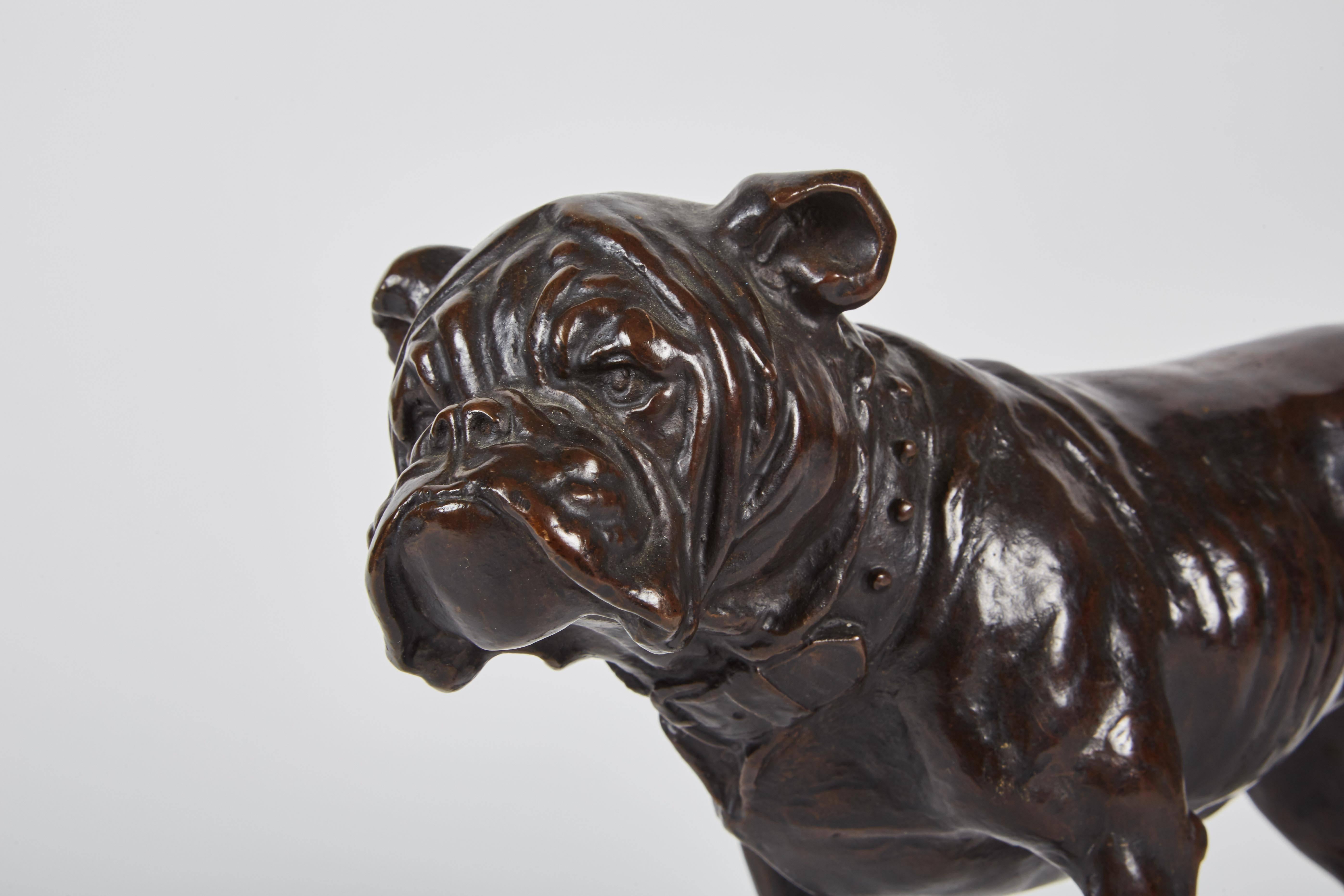 Early 20th Century English Bronze Bulldog  In Good Condition In Pasadena, CA